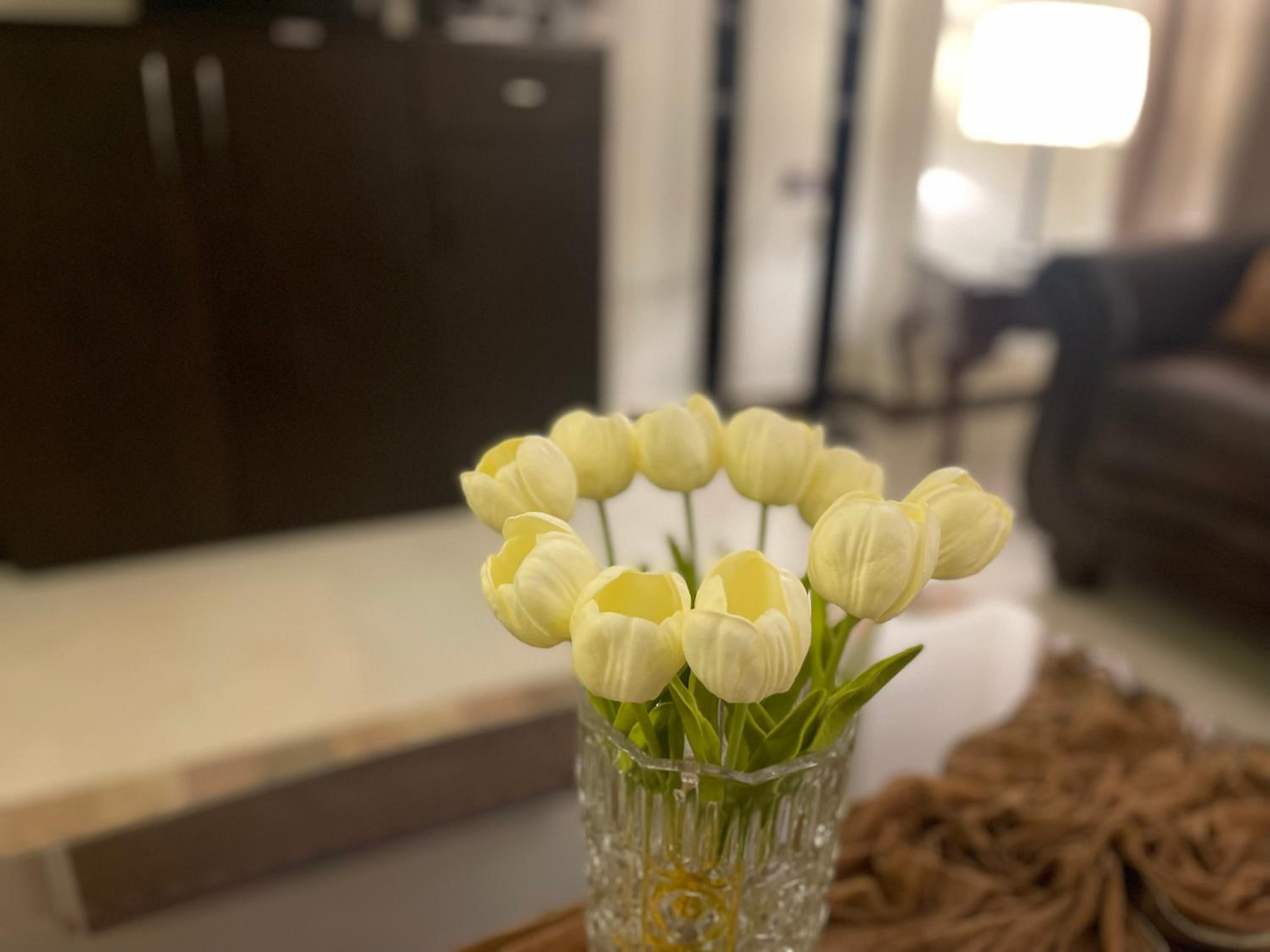 Royal apartment in private villa New Cairo in villa 255 Panafsig 11
