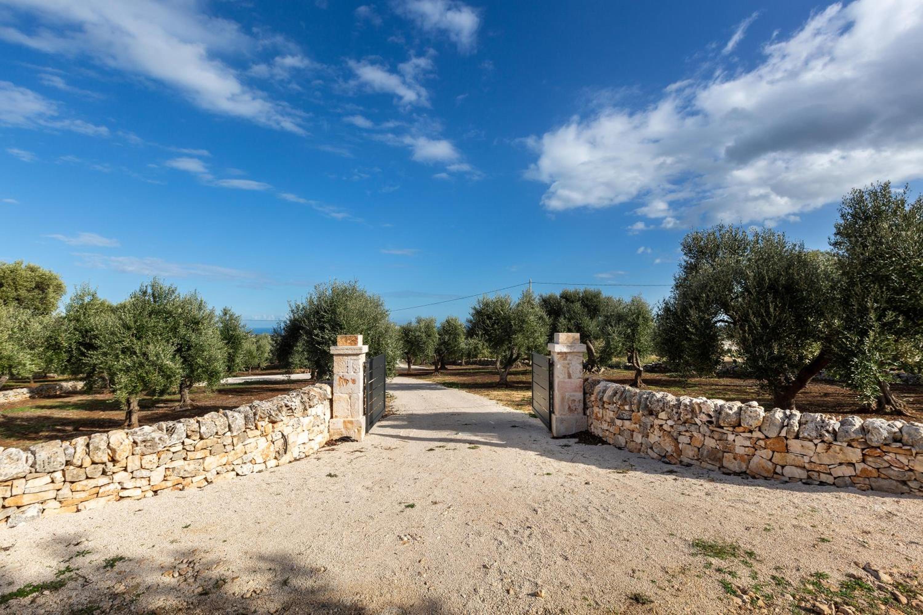 Villa de Bellis by BarbarHouse view 2