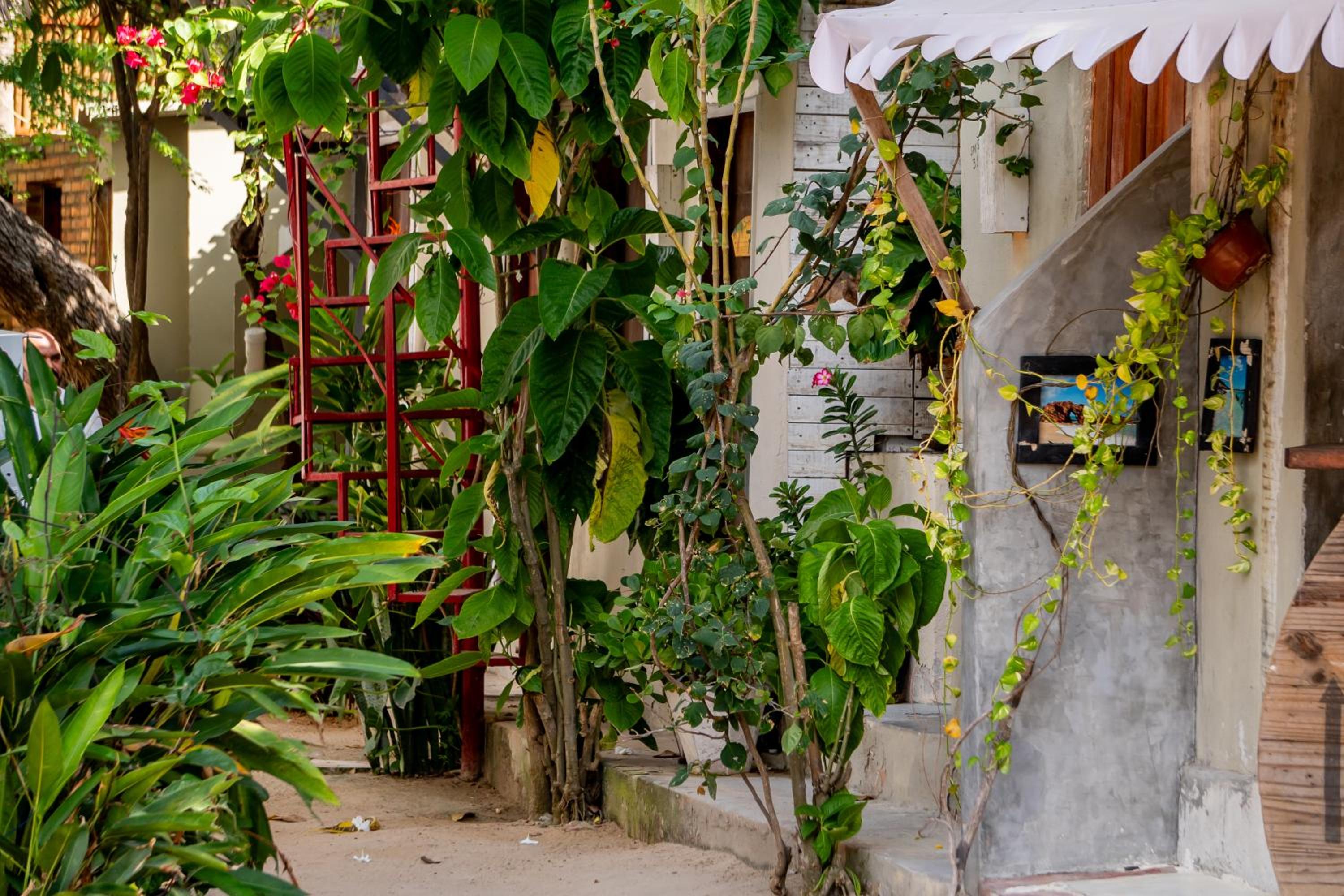 Hostel Jericoacoara