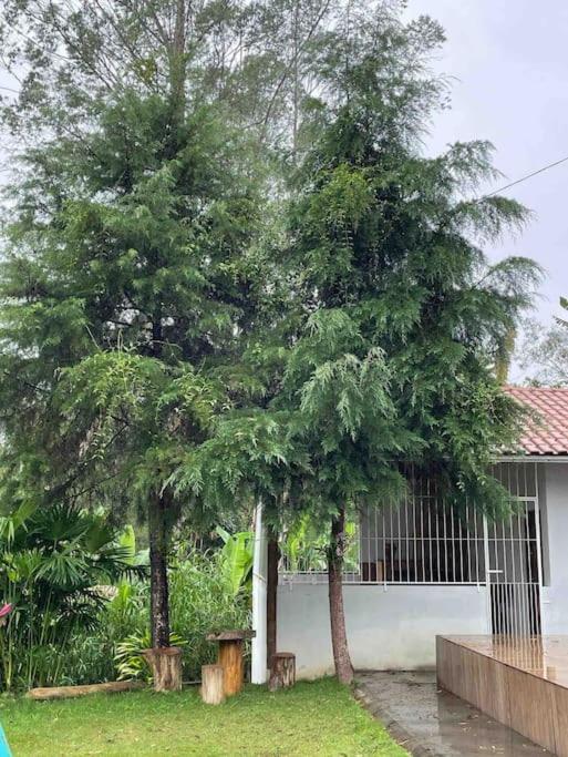 Chácara em Marechal Floriano
