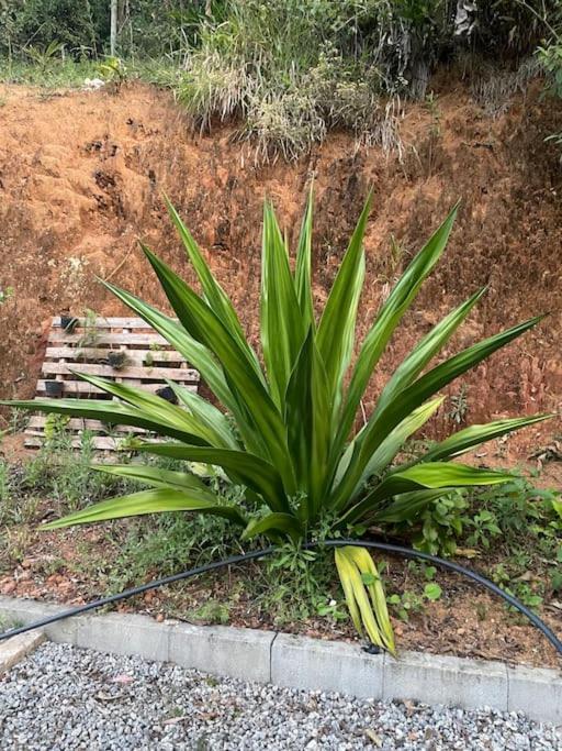 Chácara em Marechal Floriano