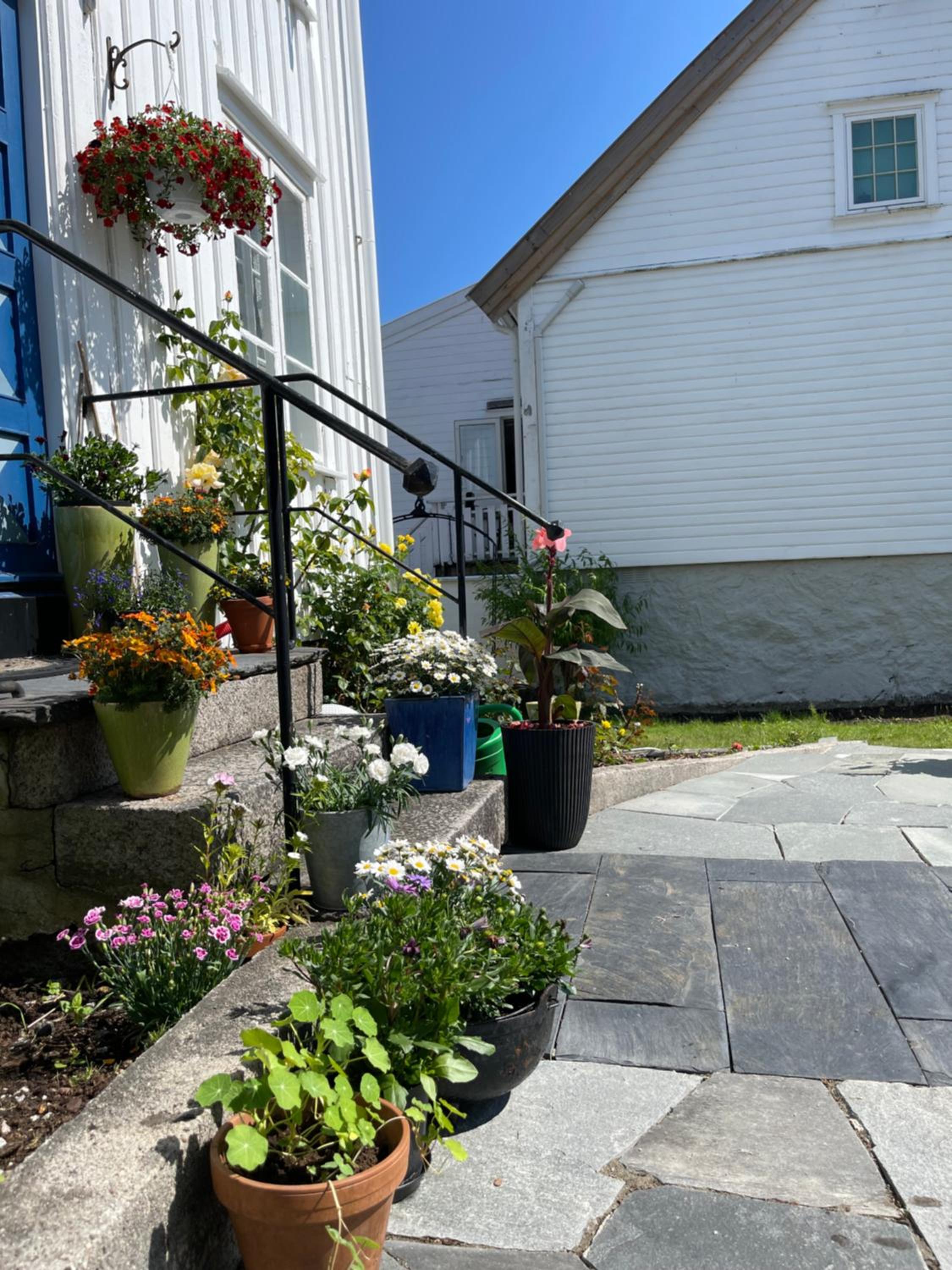 Photo 25