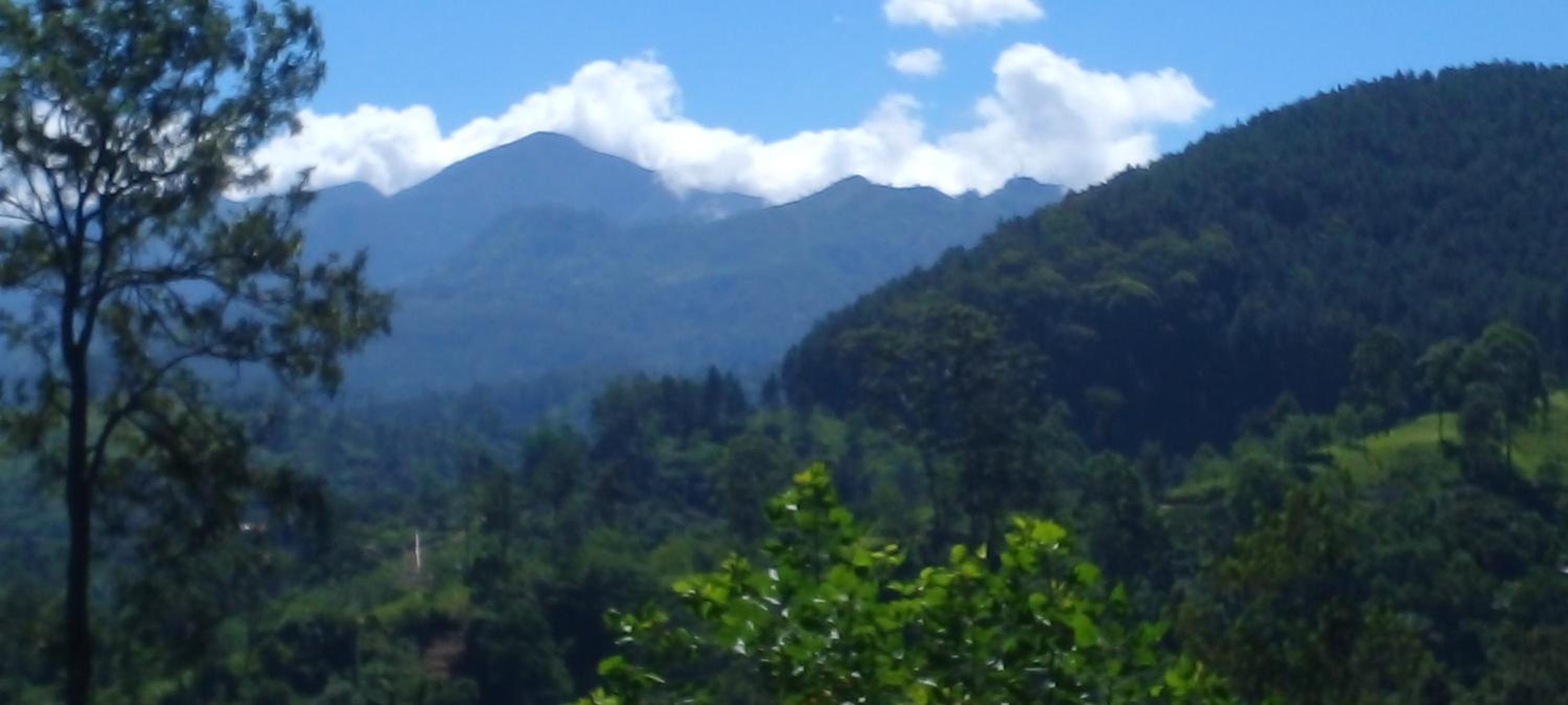 Silent Night Homestay