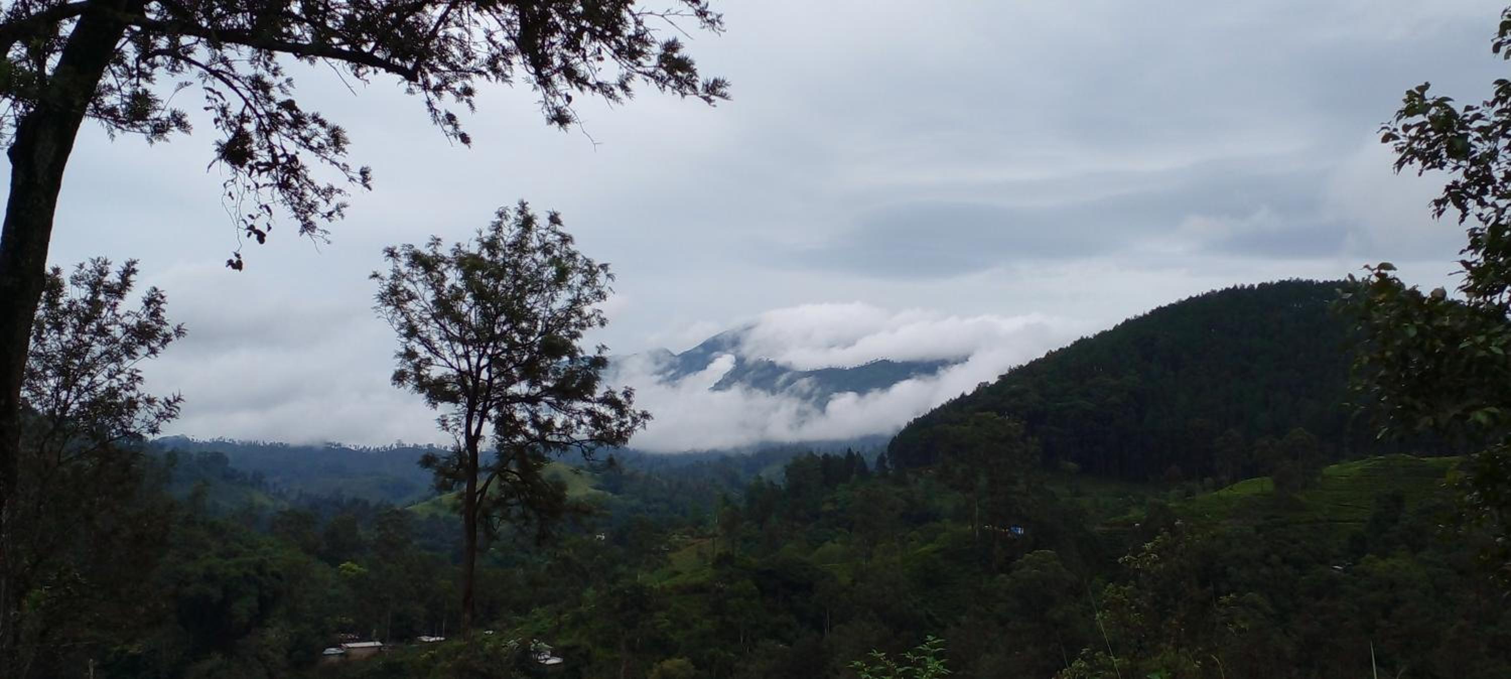 Silent Night Homestay