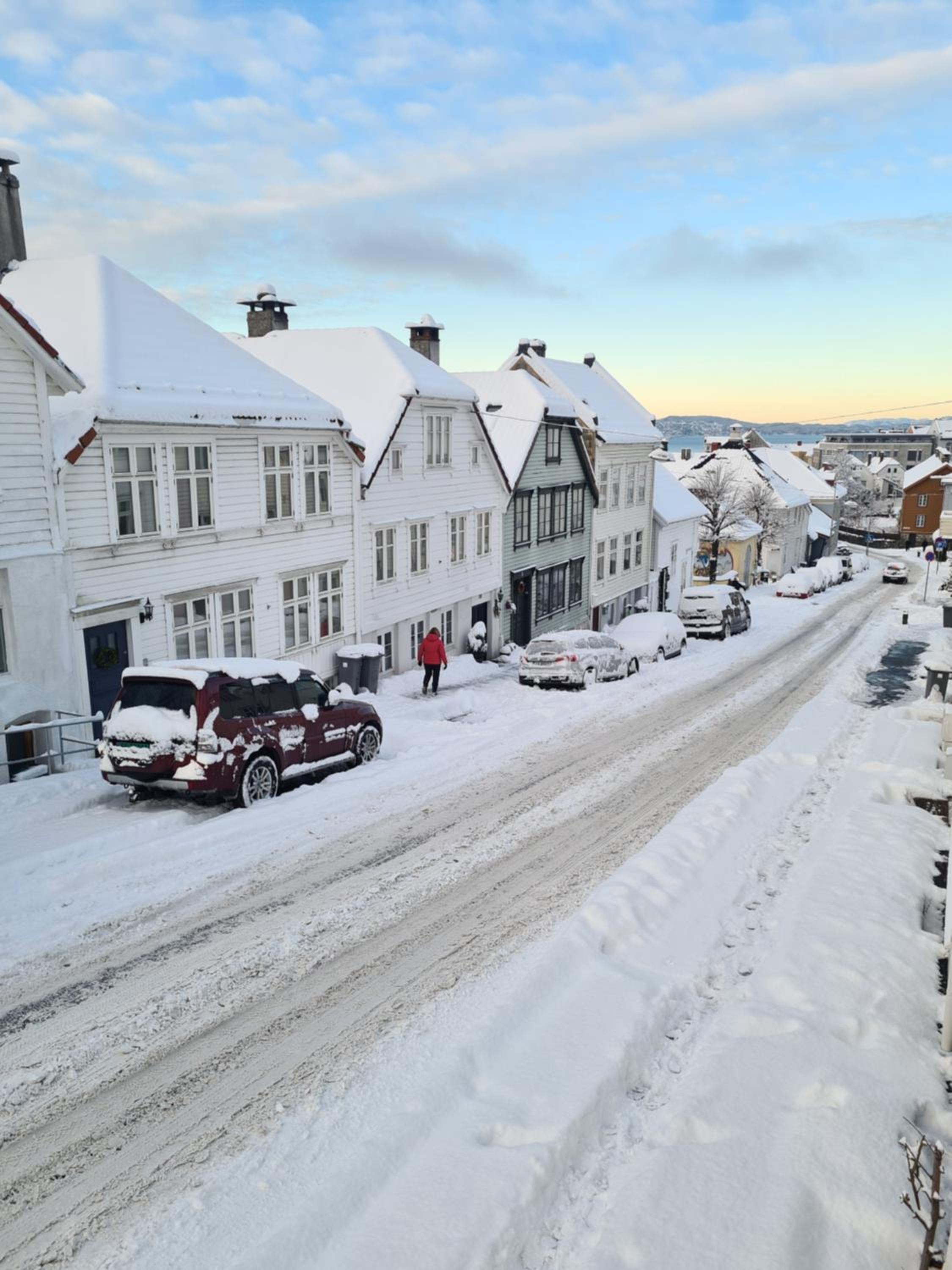 Fløyen Townhouse