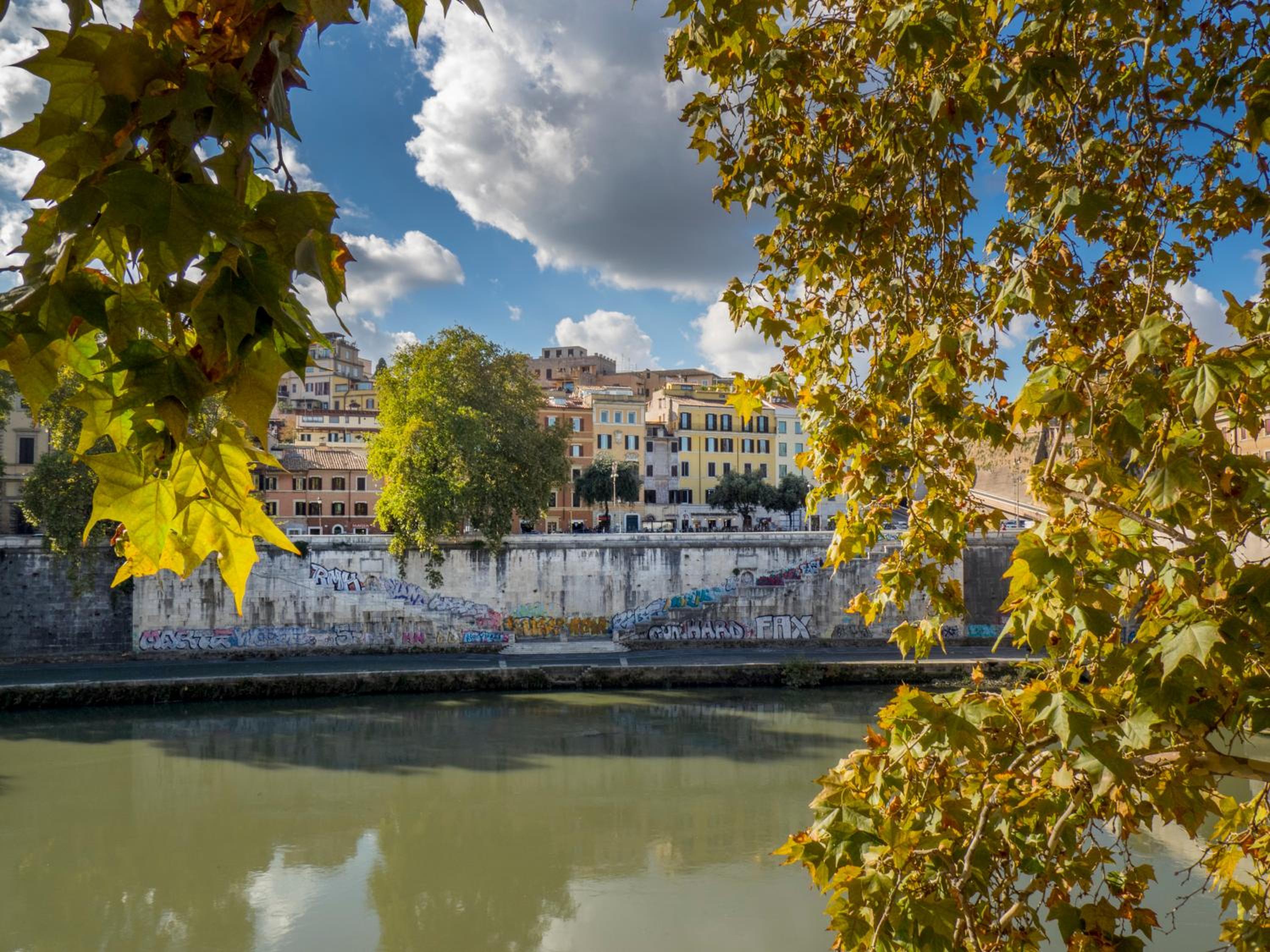 River View Apartment