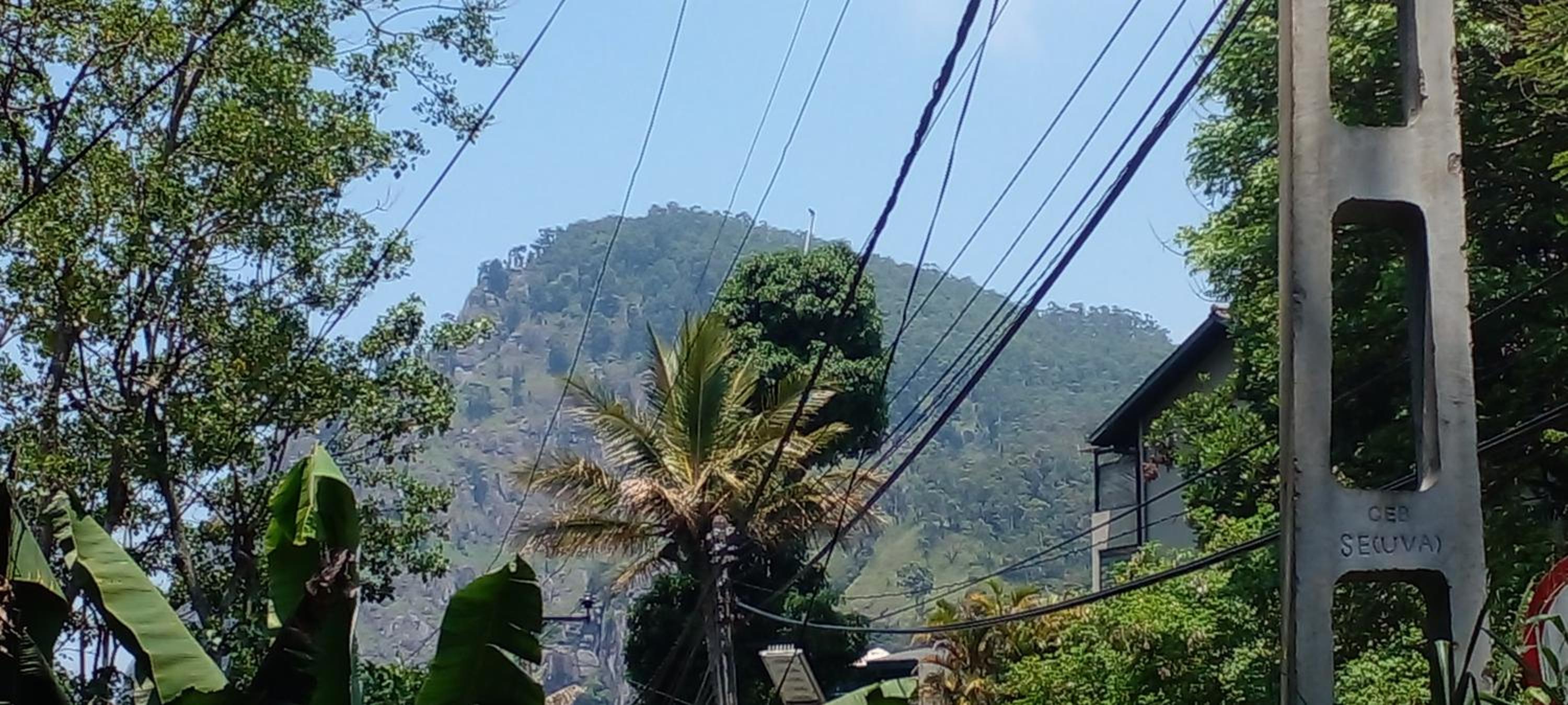 Silent Night Homestay