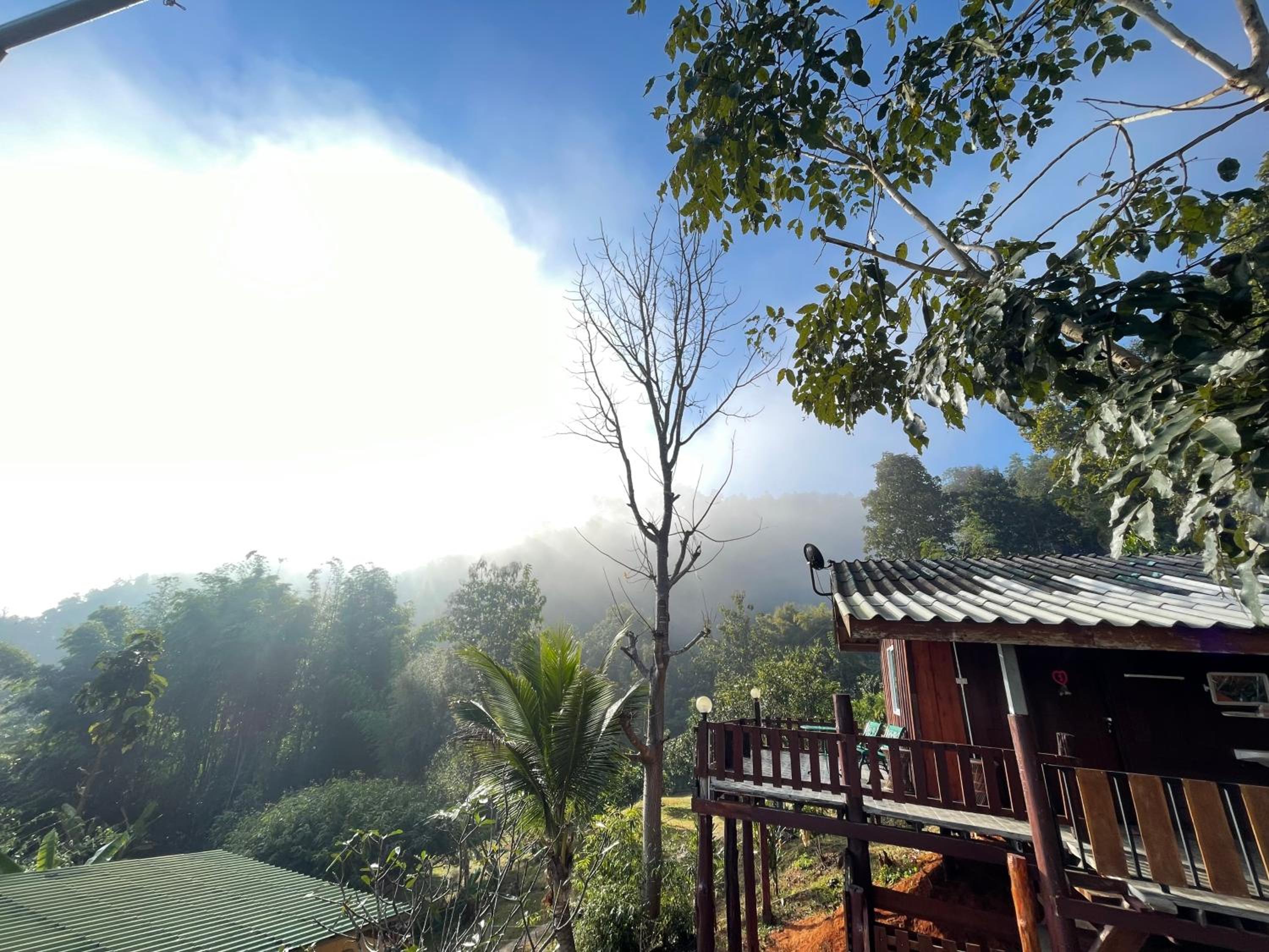Forest Guesthouse