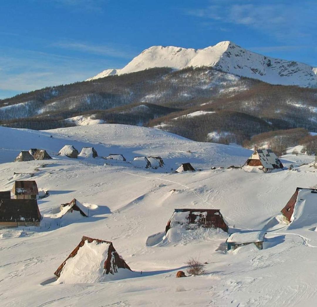 Bordo Bajka