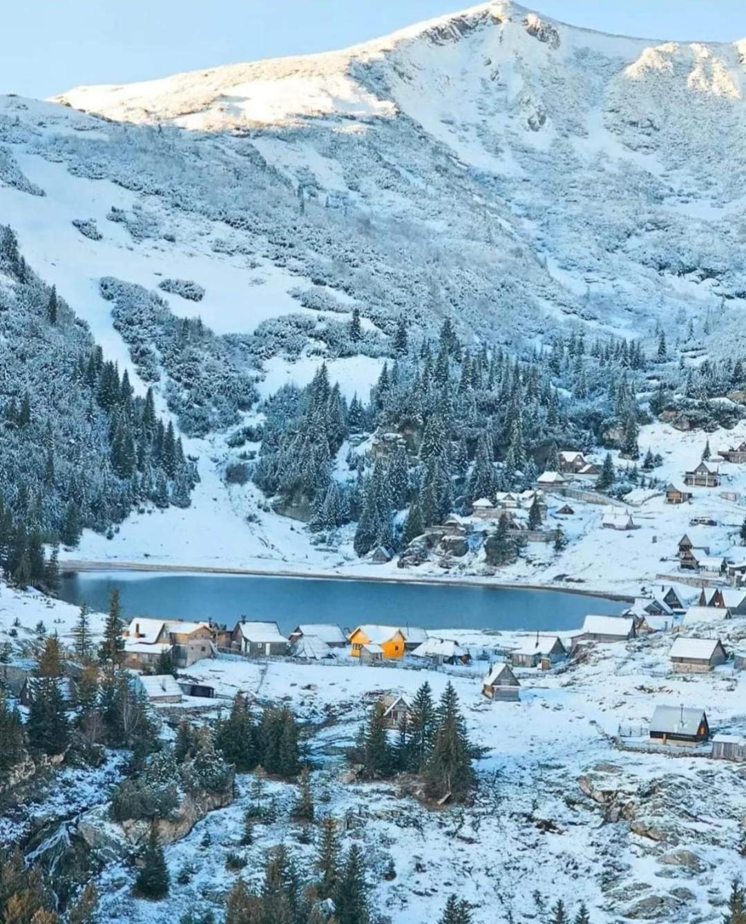 Bordo Bajka