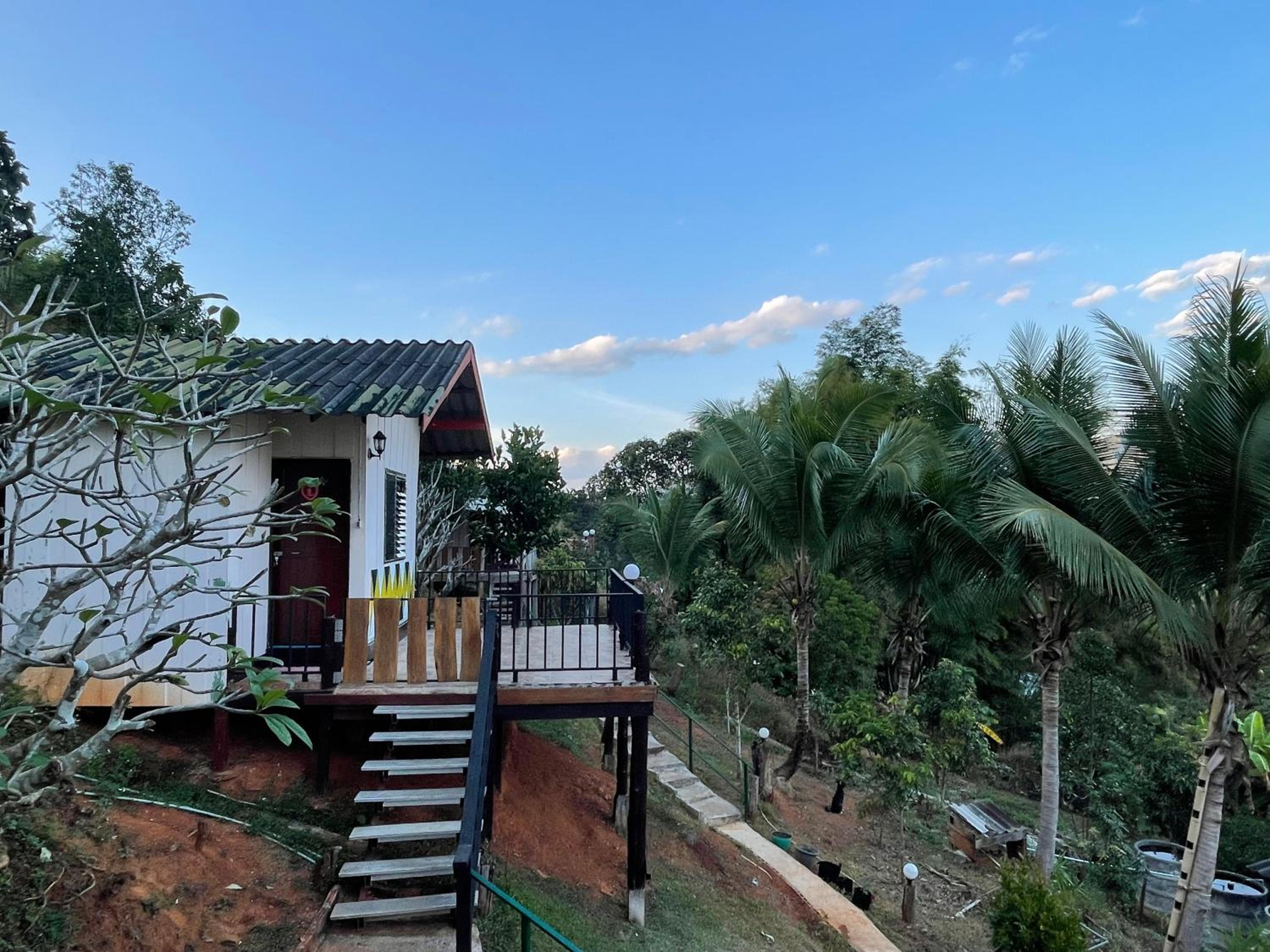 Forest Guesthouse