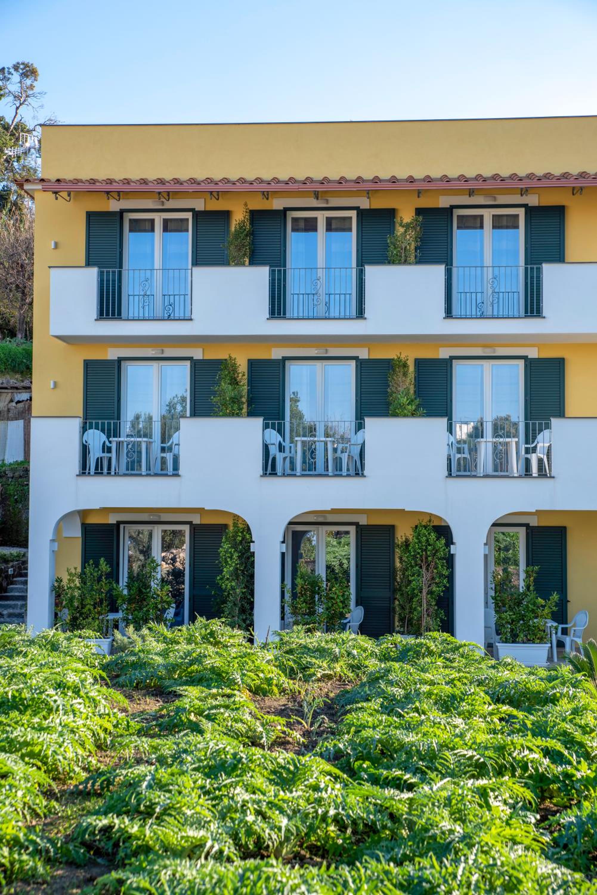 B&B La Vigna - Ischia Ponte photo 5