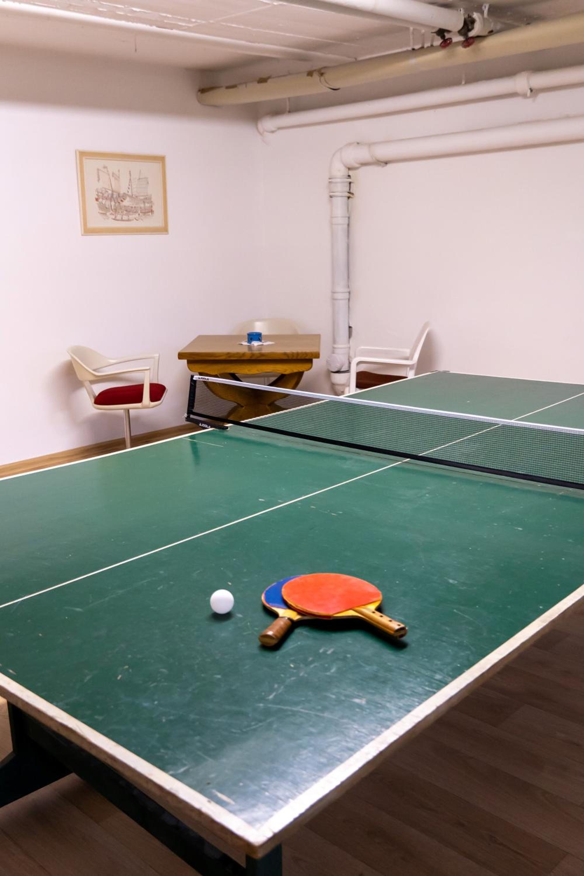 FeWo Harzer Wiesenblick, bis 2 Hunde willkommen, W-Lan, Sauna, DTV 4 Sterne, 3 Pfoten