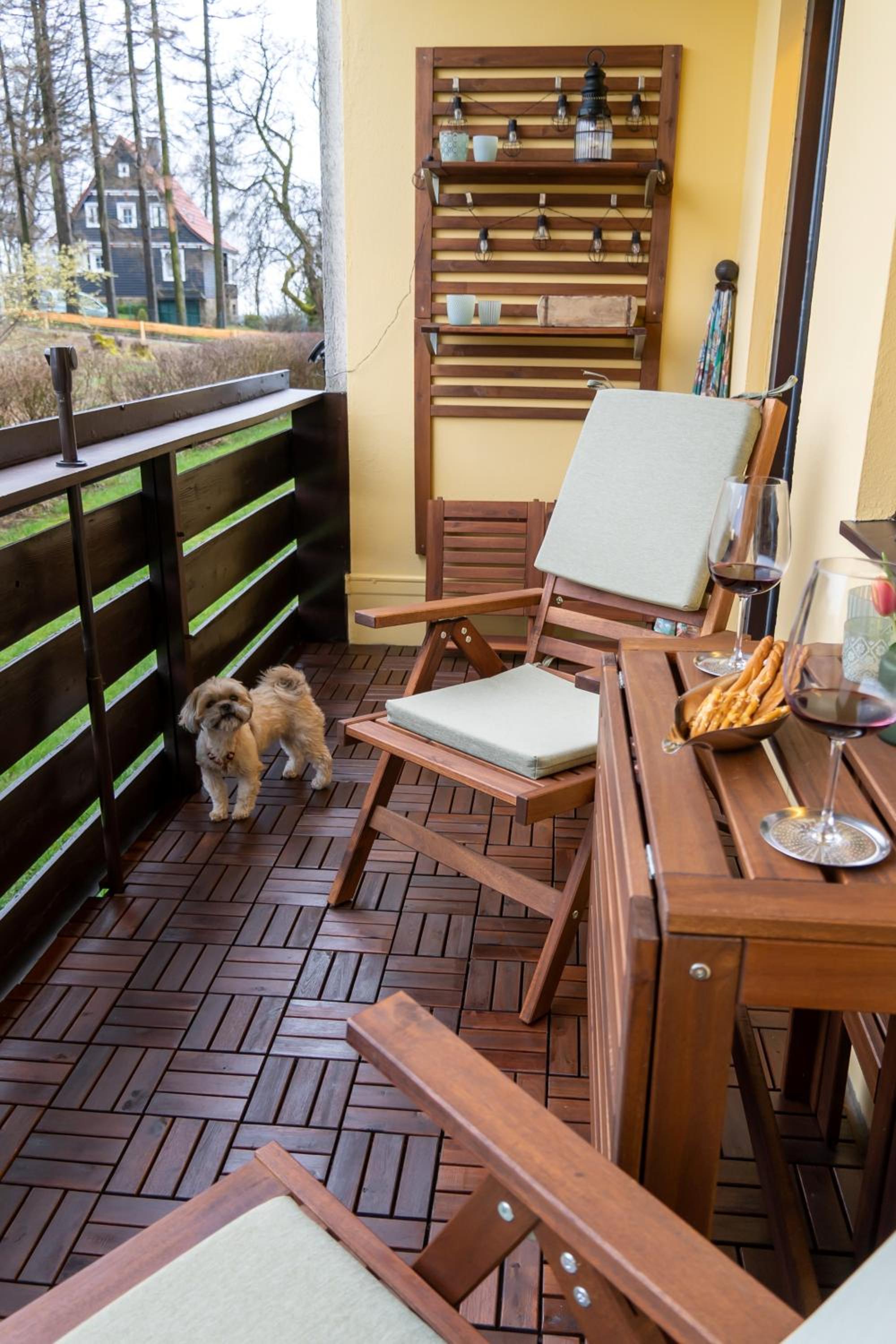 FeWo Harzer Wiesenblick, bis 2 Hunde willkommen, W-Lan, Sauna, DTV 4 Sterne, 3 Pfoten