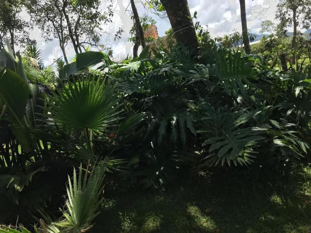 Macondo Chalés