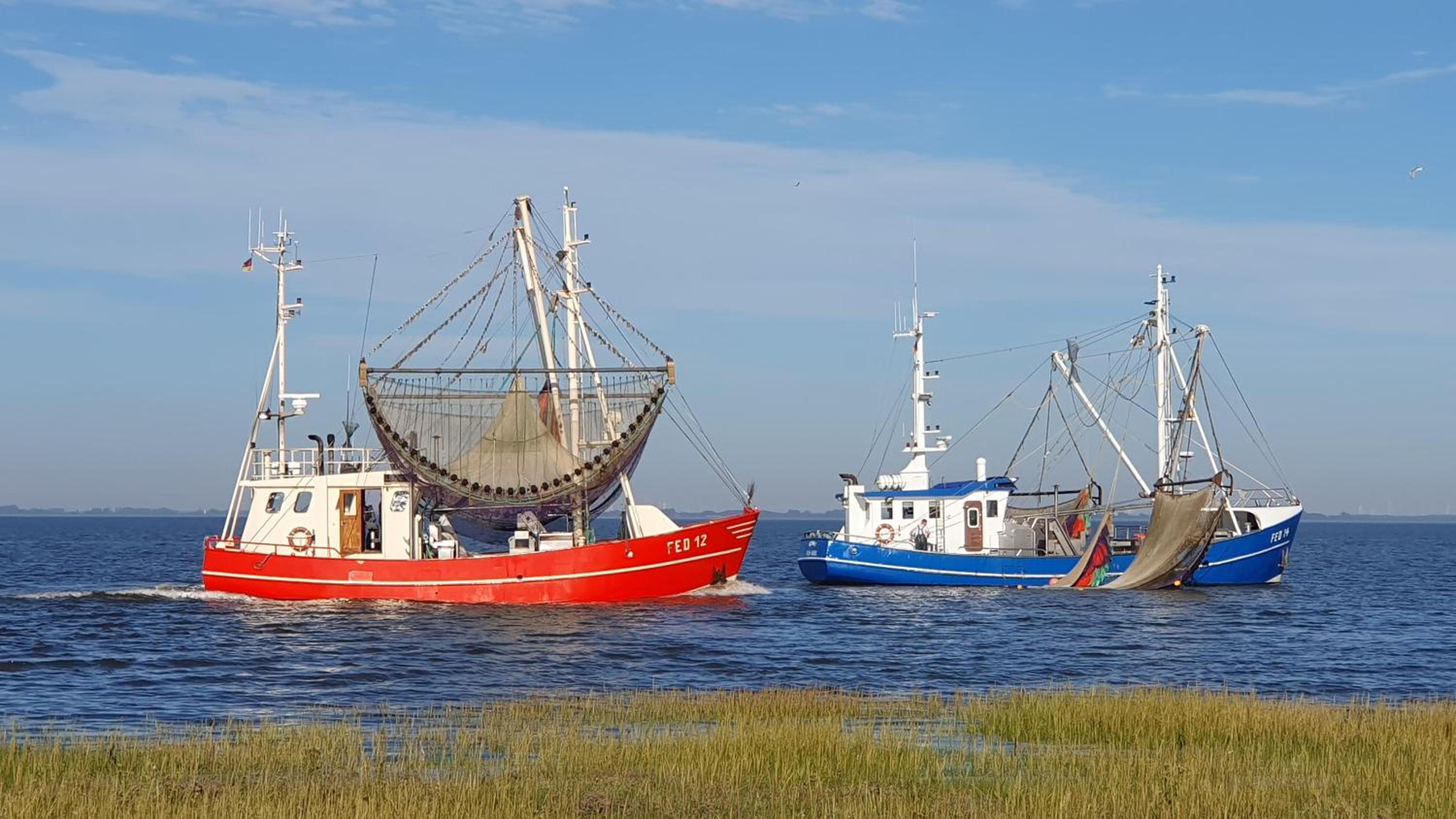 HAFEN ZWEI