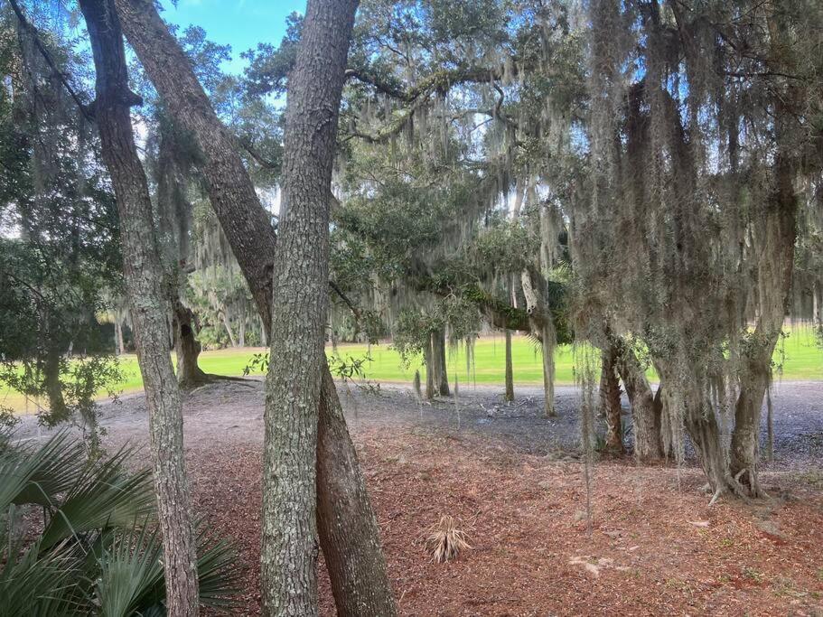 Palmetto Breeze, Golf Course New furniture, carpet view 4