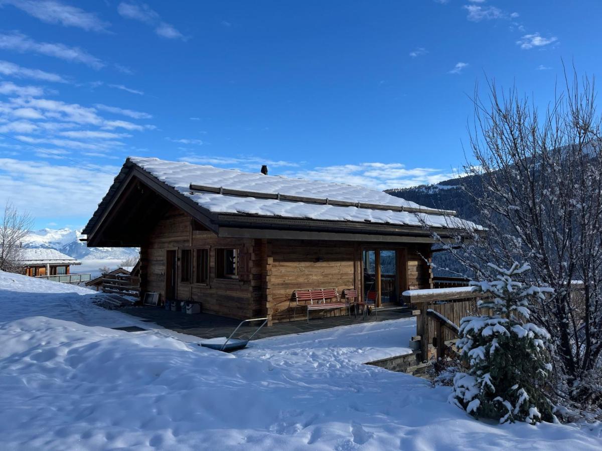 Anam - SUNNY & QUIET chalet 8 pers