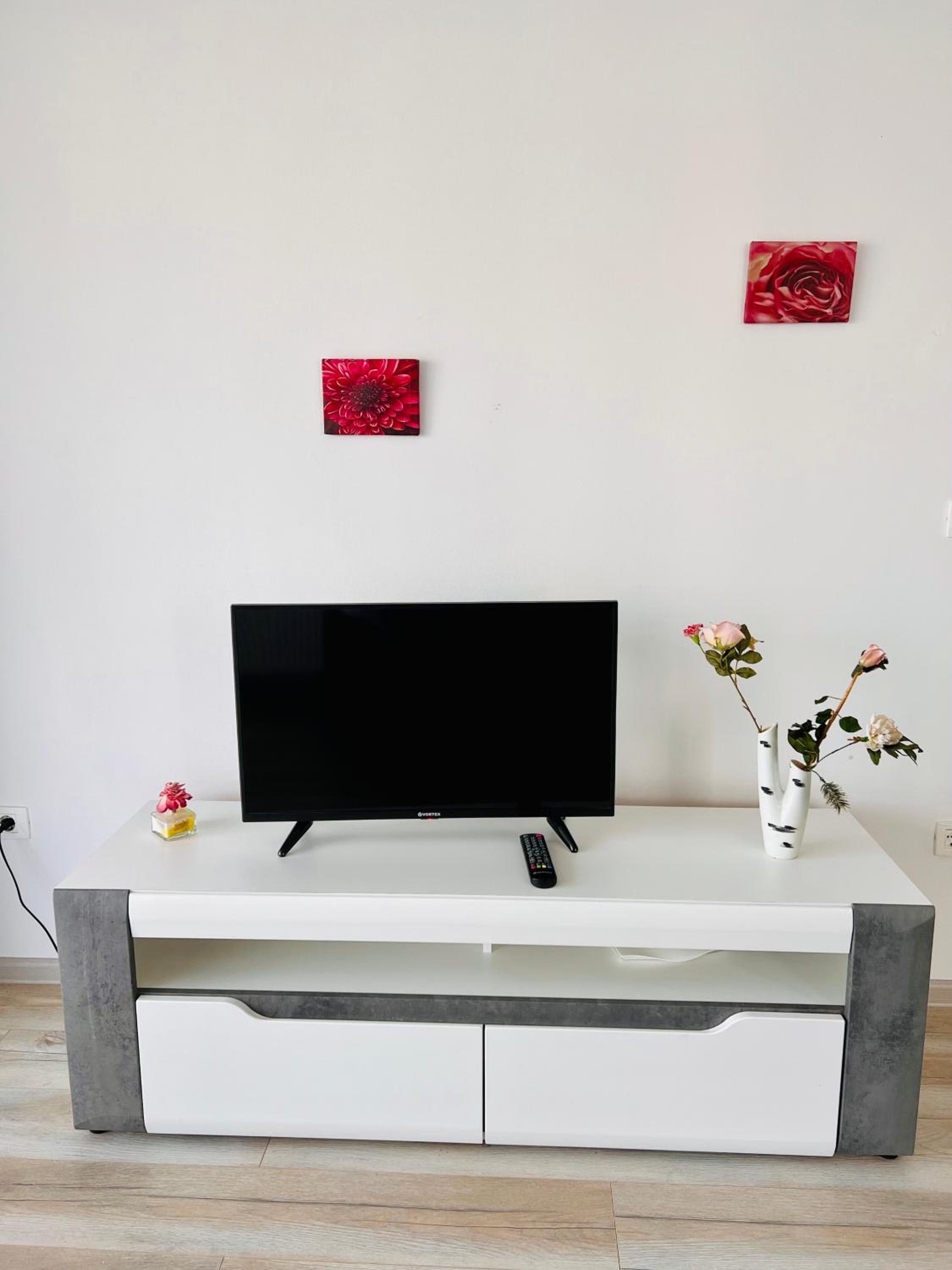 Cozy Coresi Studio view 4