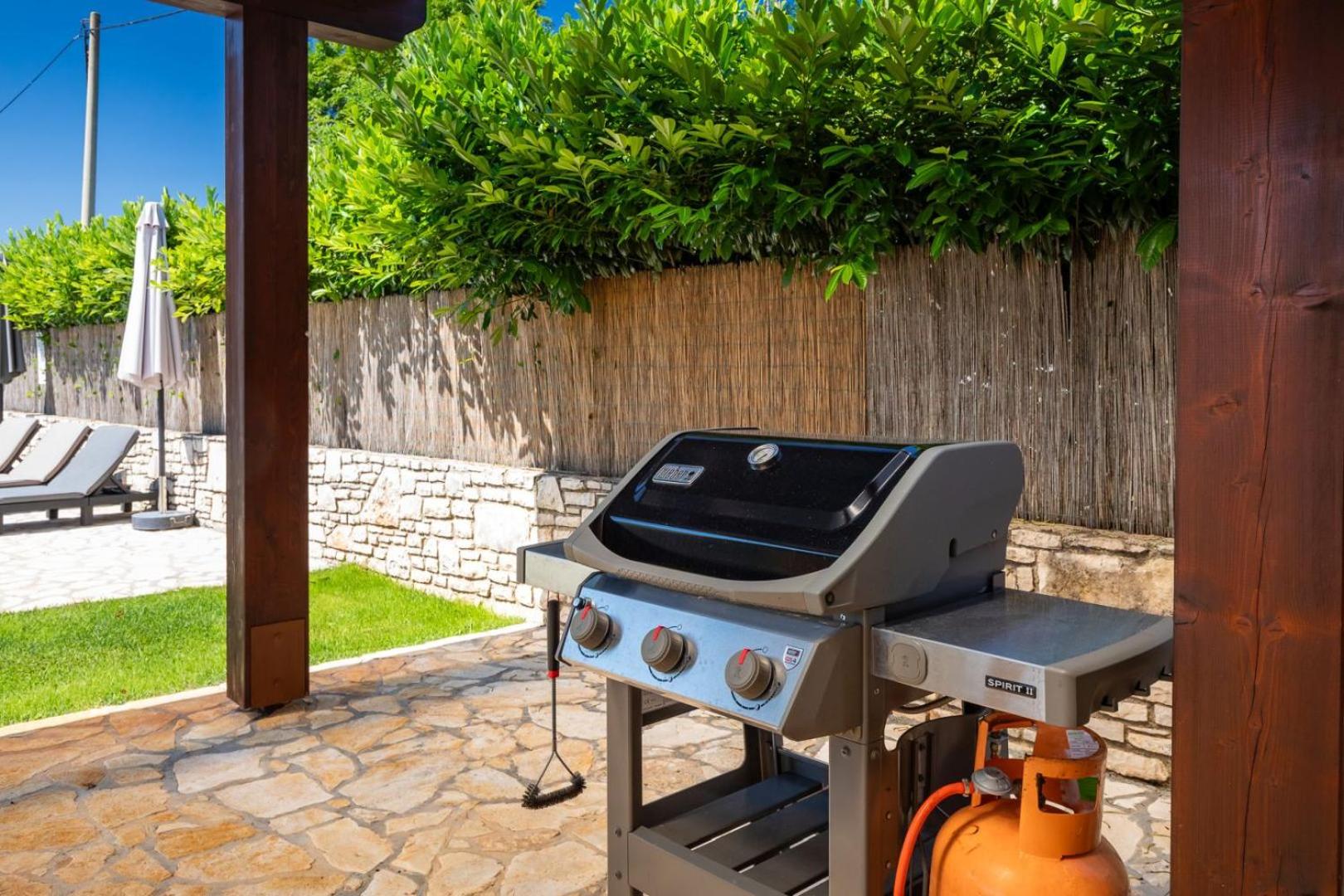 Villa Casa Bastiani with pool and grill in Buje view 2