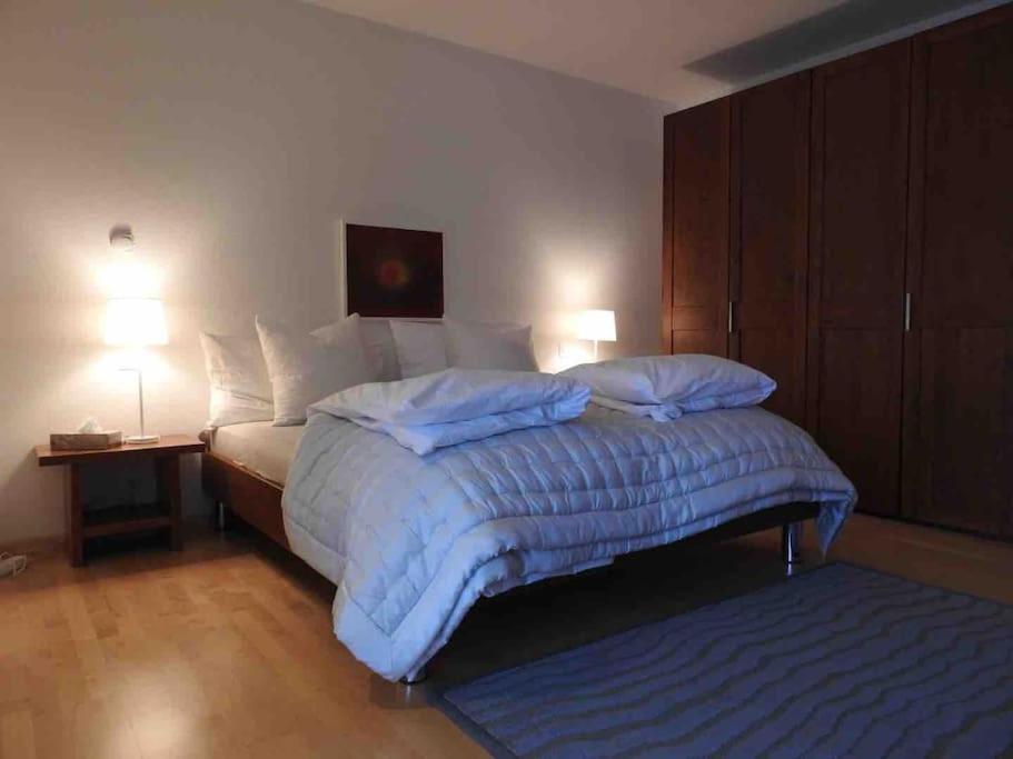 Exclusive Lakeside Apartment with Amazing View
