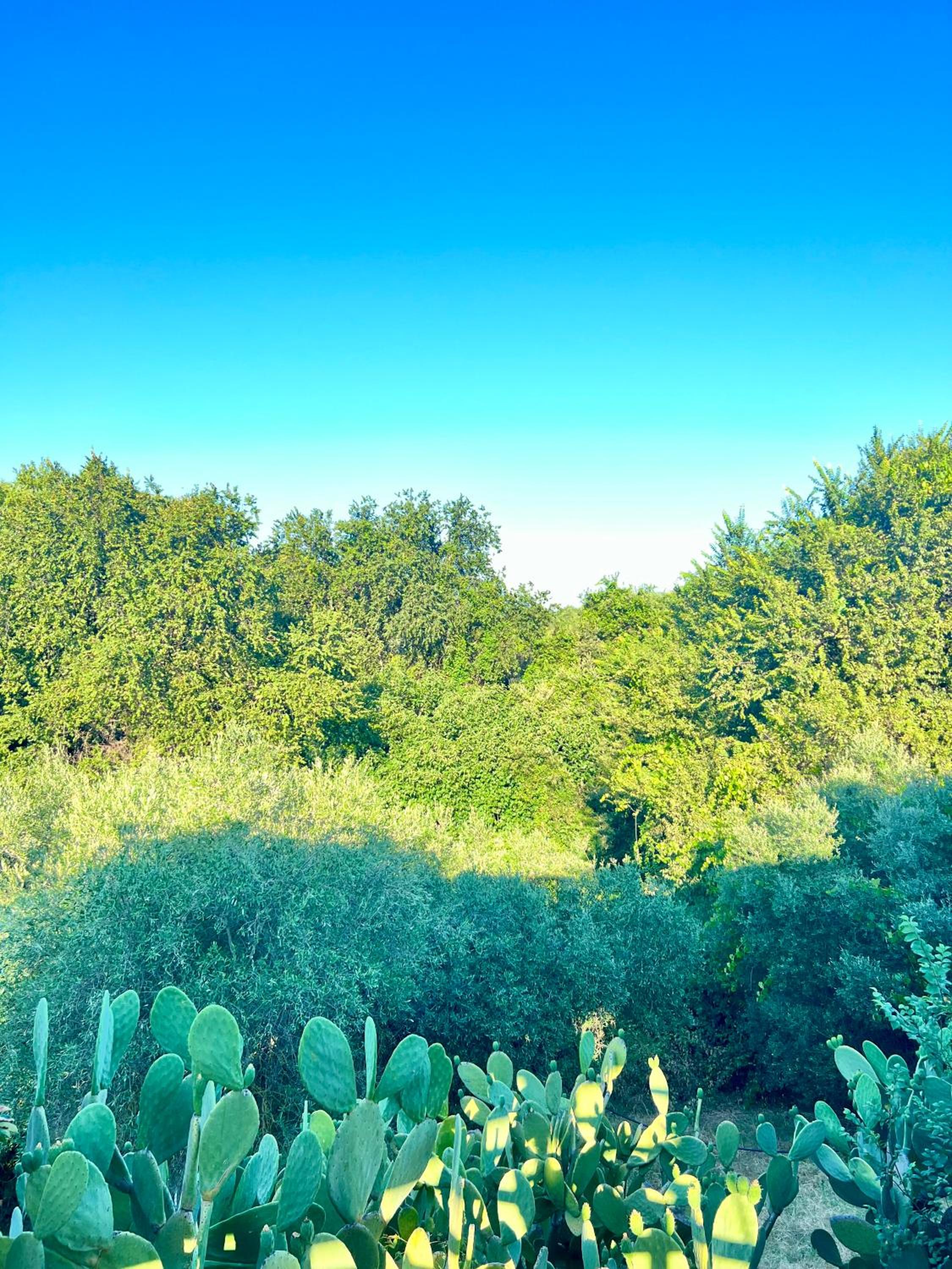 Villa Marilena