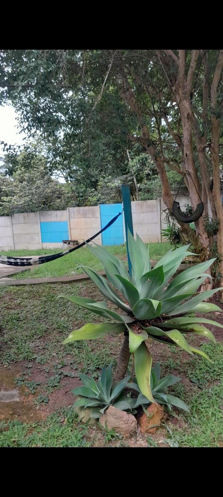 Casa e camping Julia recanto das árvores