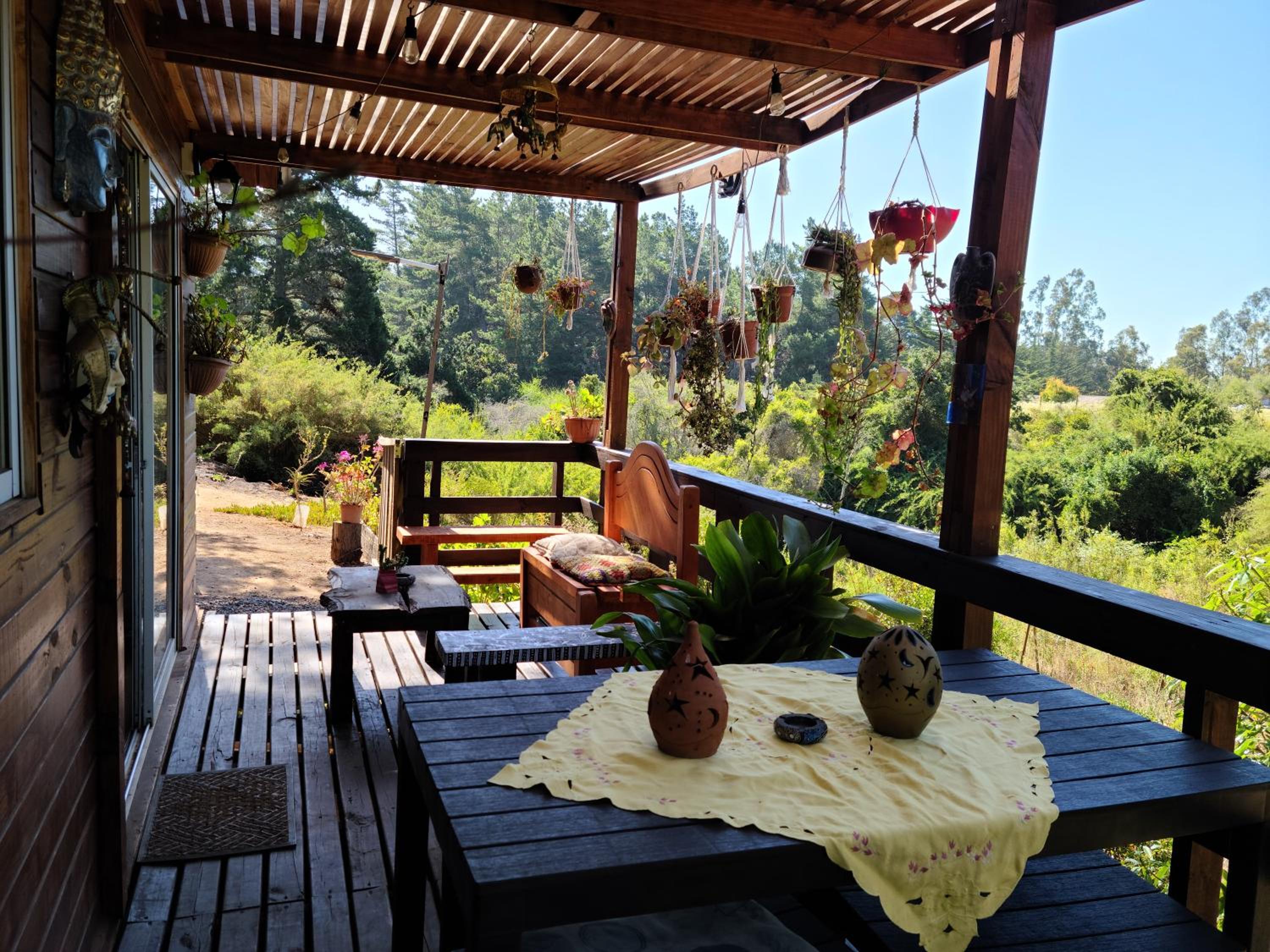 Photo 52