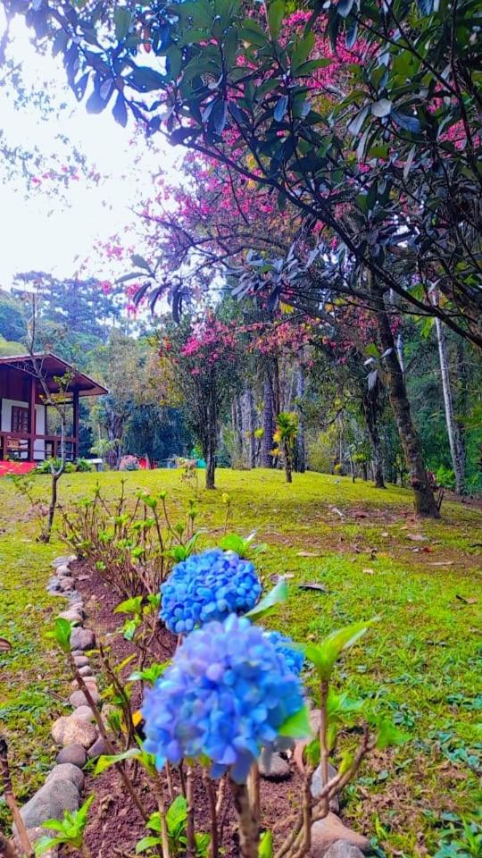 Pousada Bosque do Visconde