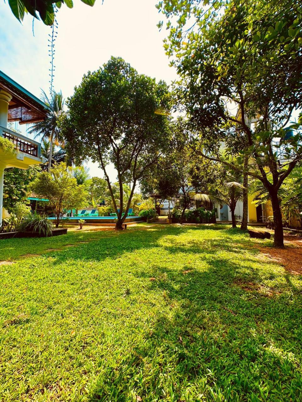 Photo 71