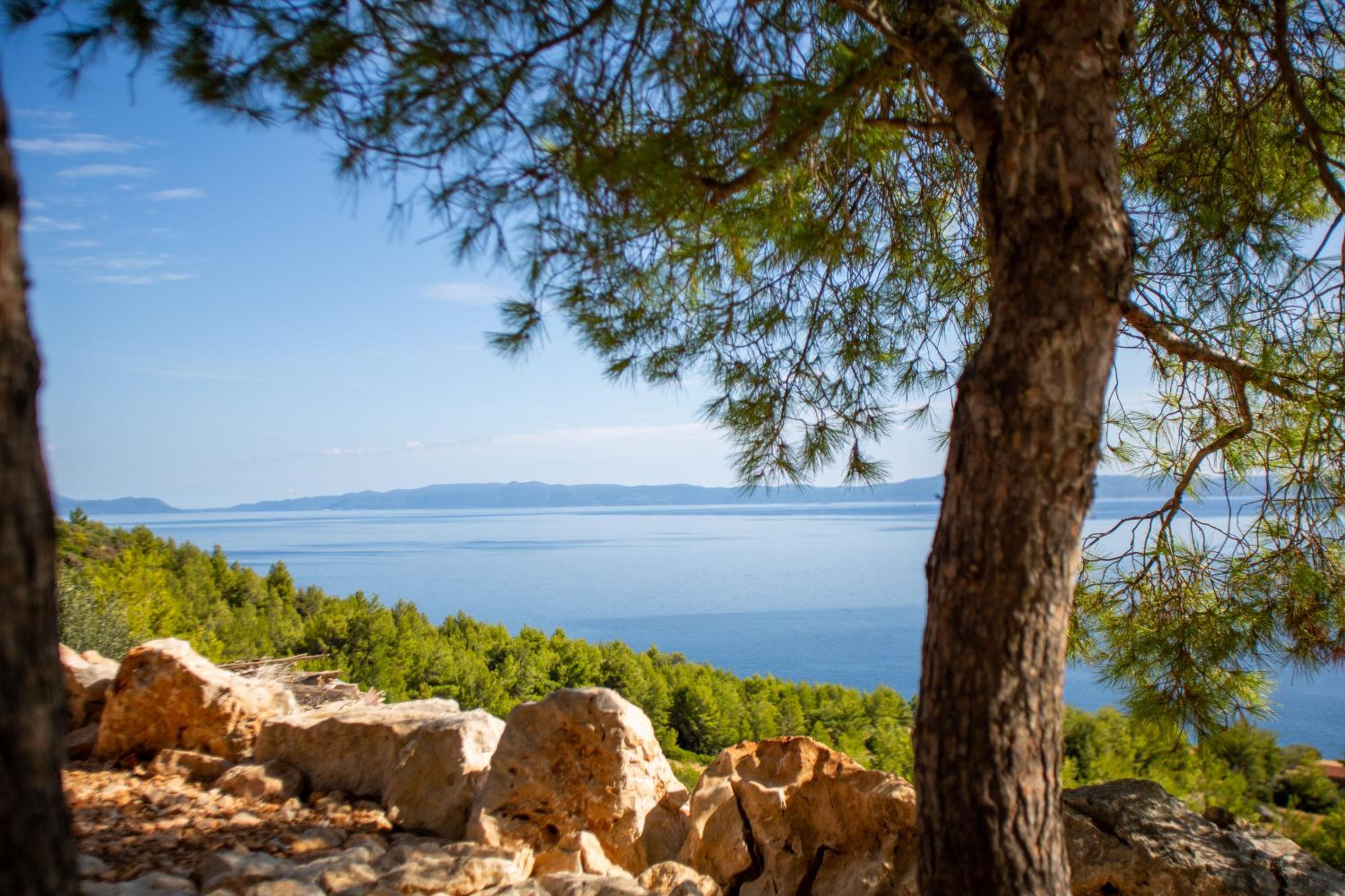 Secluded Sea View Sanctuary - Pool & Total Privacy, 250m to Beach - Falcon View Hvar