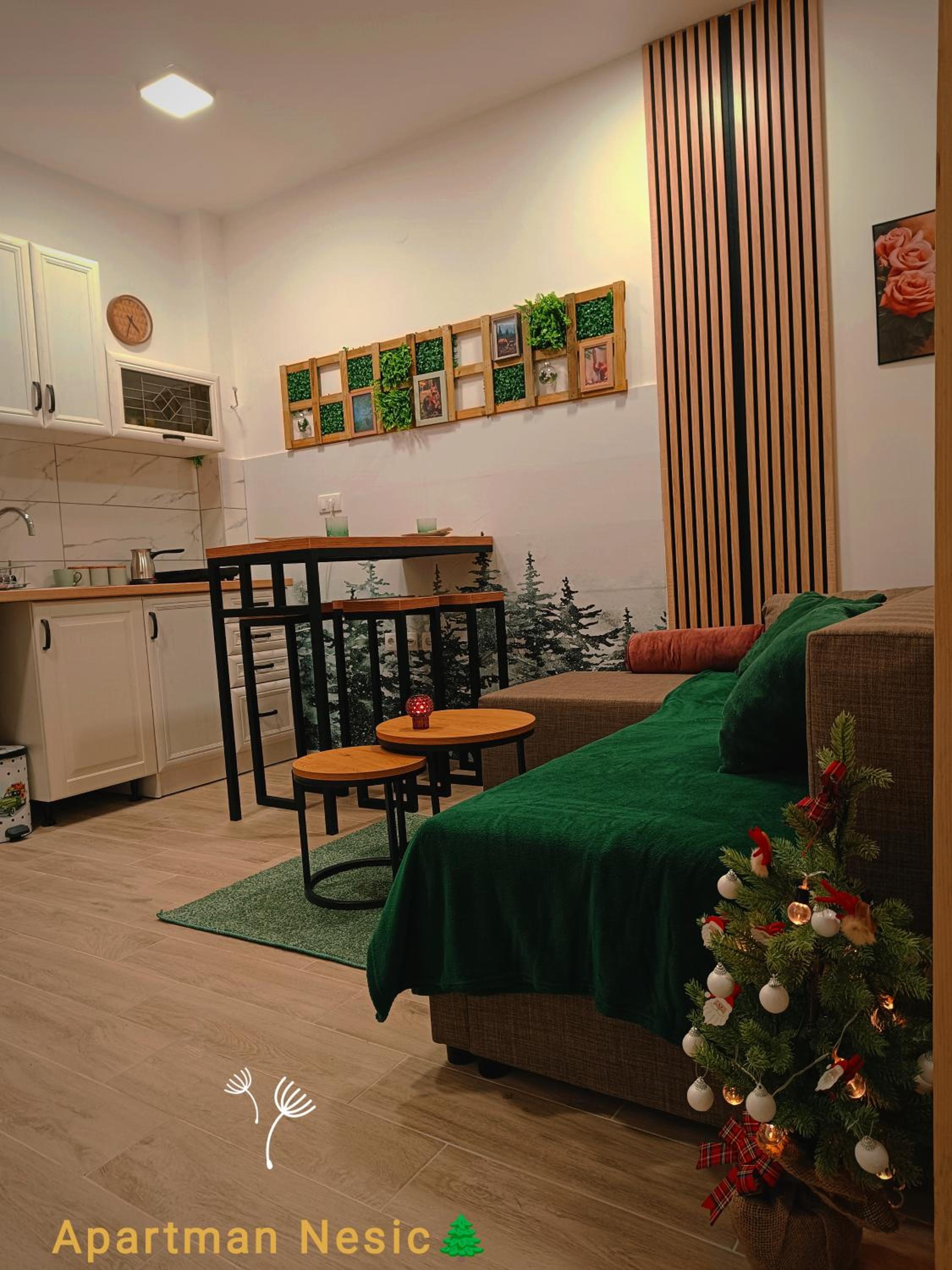 Apartman Nesic kop view 4