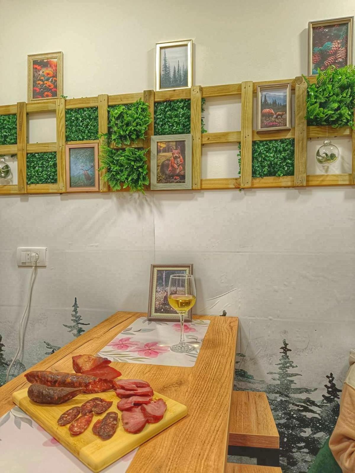 Apartman Nesic kop view 5