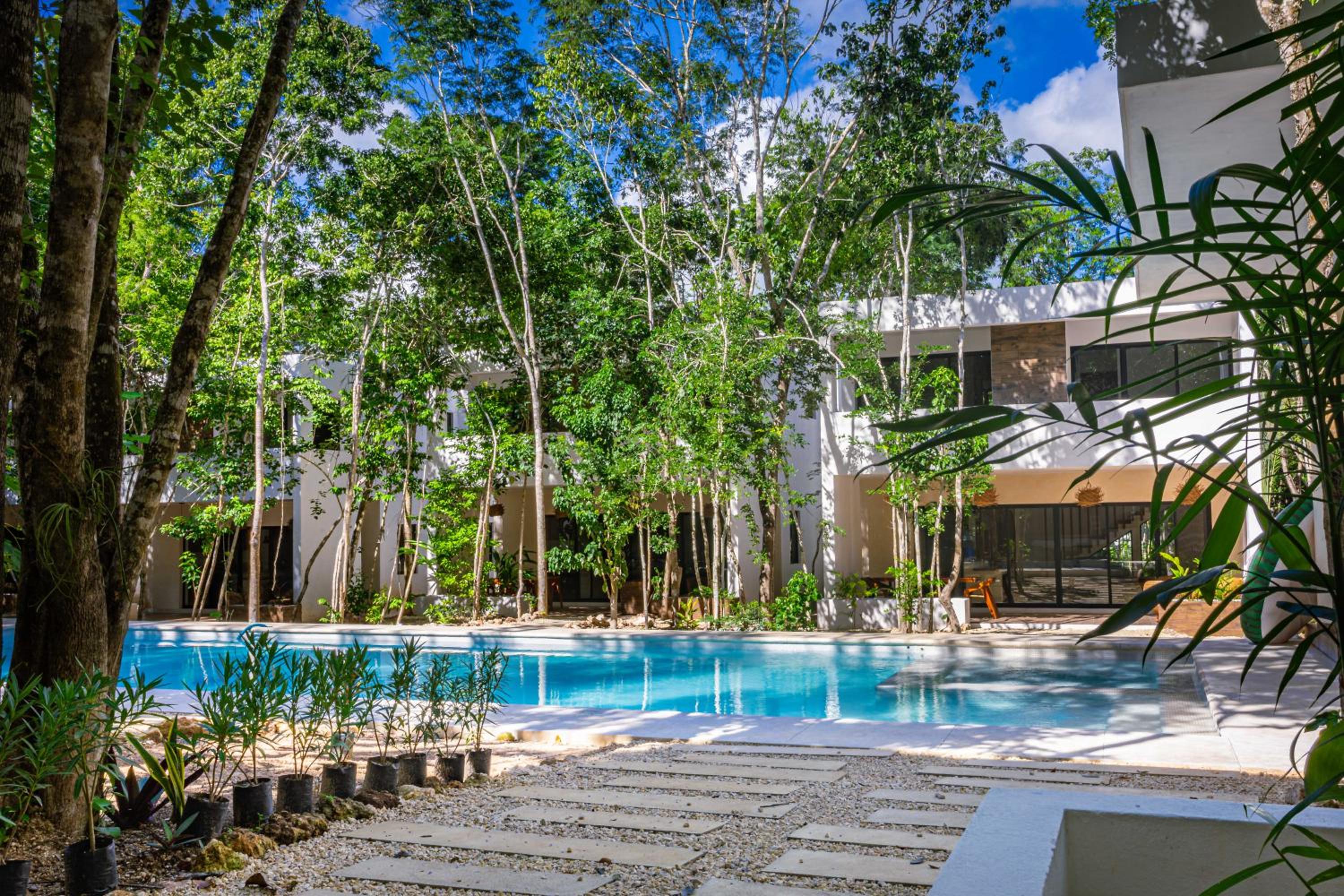 Aqua Viva, Pool, AC, Internet, Beach club view 4
