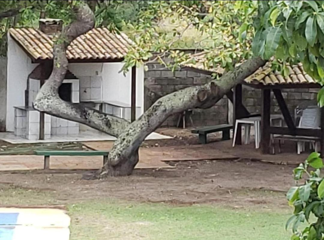 Guarajuba Summer Flat