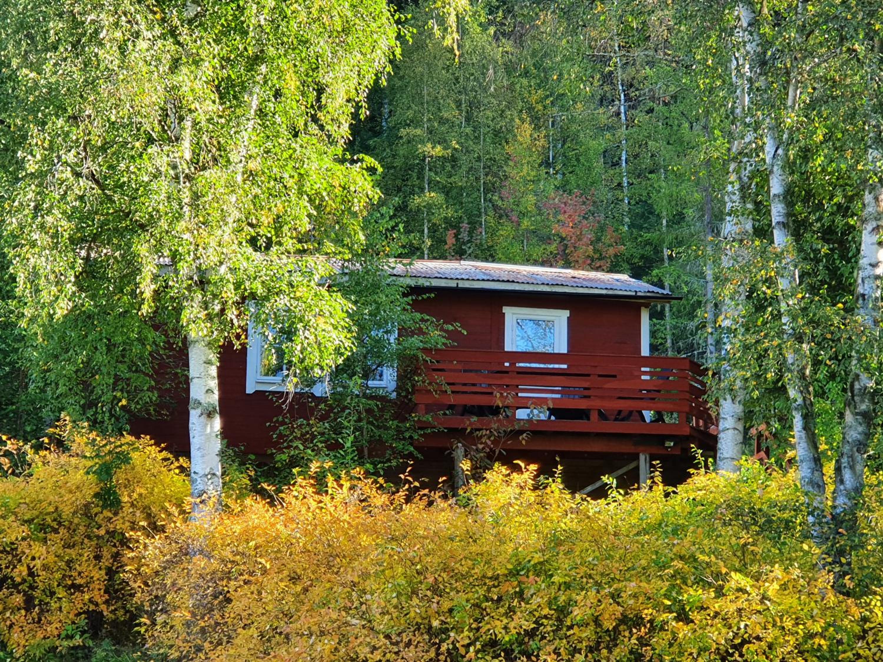 Photo 7