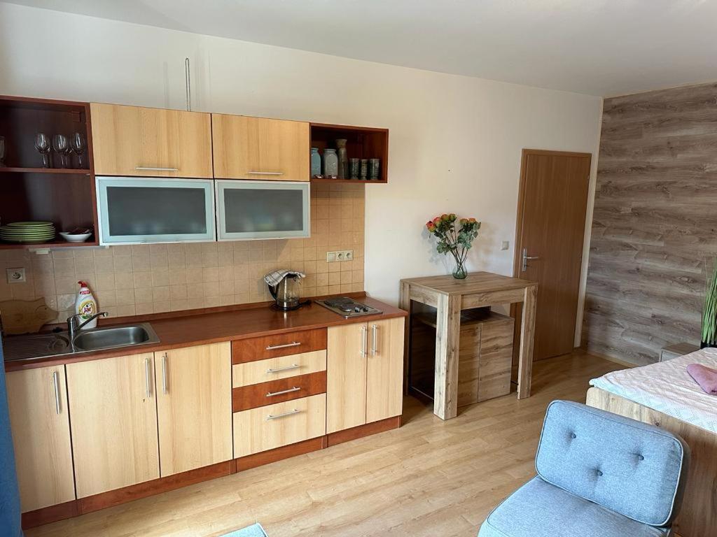 Apartmán Železná Ruda