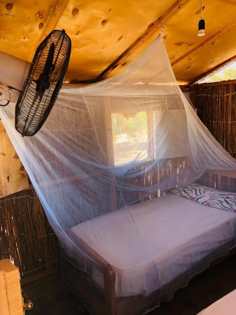 Taba Vacations - Magic land taba camp - Property Image 5