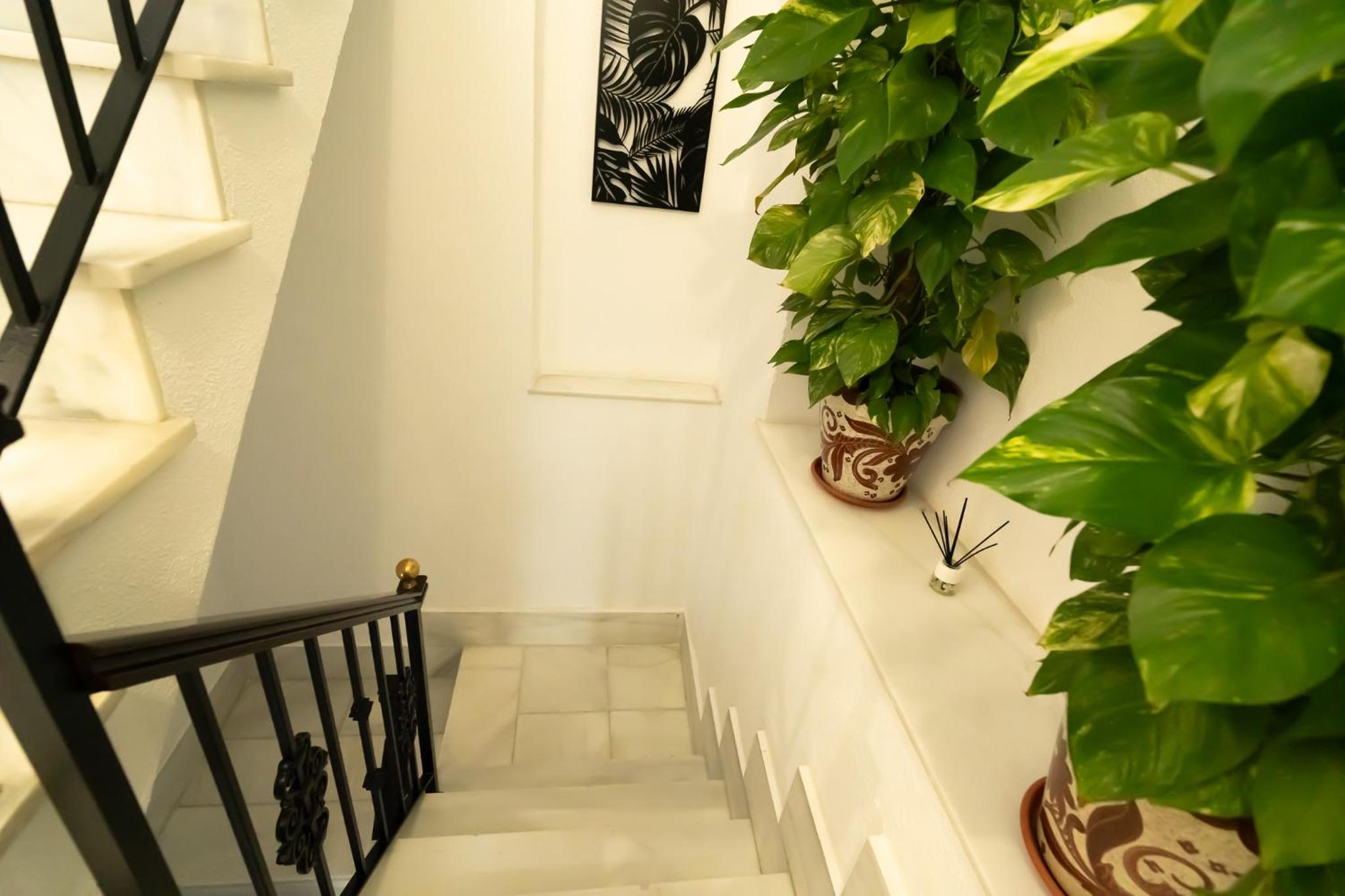 Apartamentos Consistorio Live