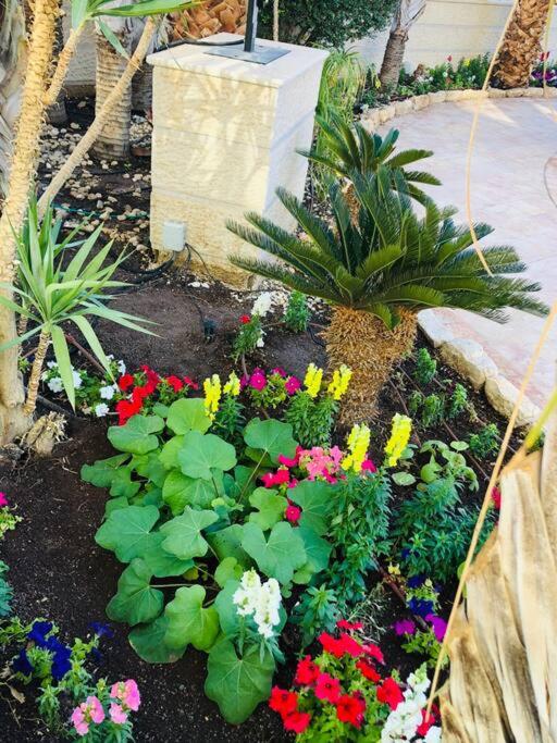 Great Garden Apartment-La Palmeraie Eilat view 4