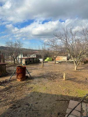 other