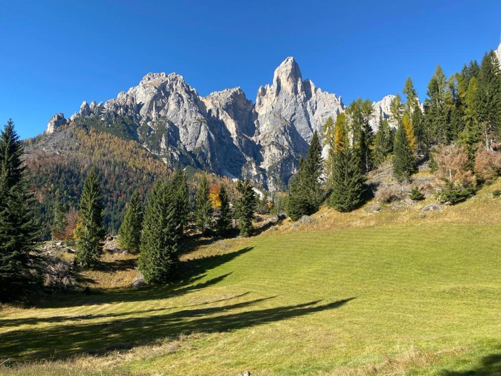 Chalet Pra Dell OSTIO Primiero San Martino di Castrozza view 5