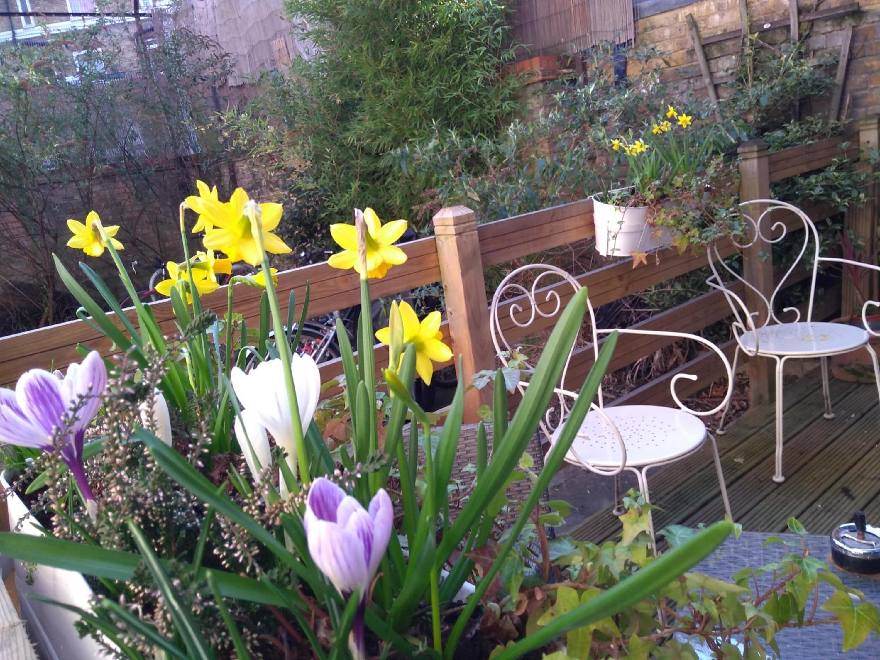 garden