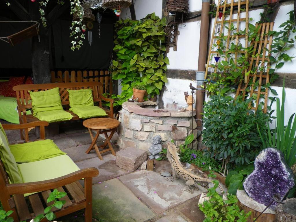 Photo 14