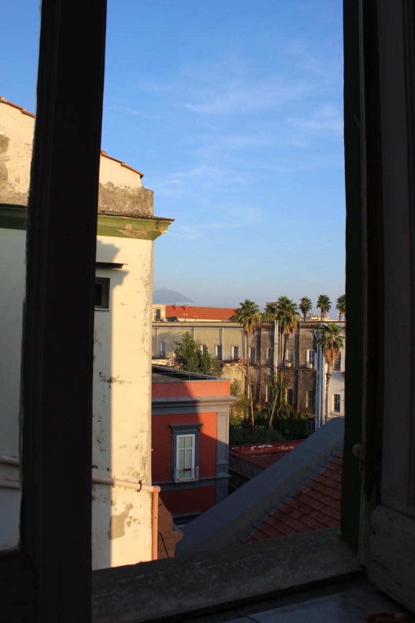 domus museum