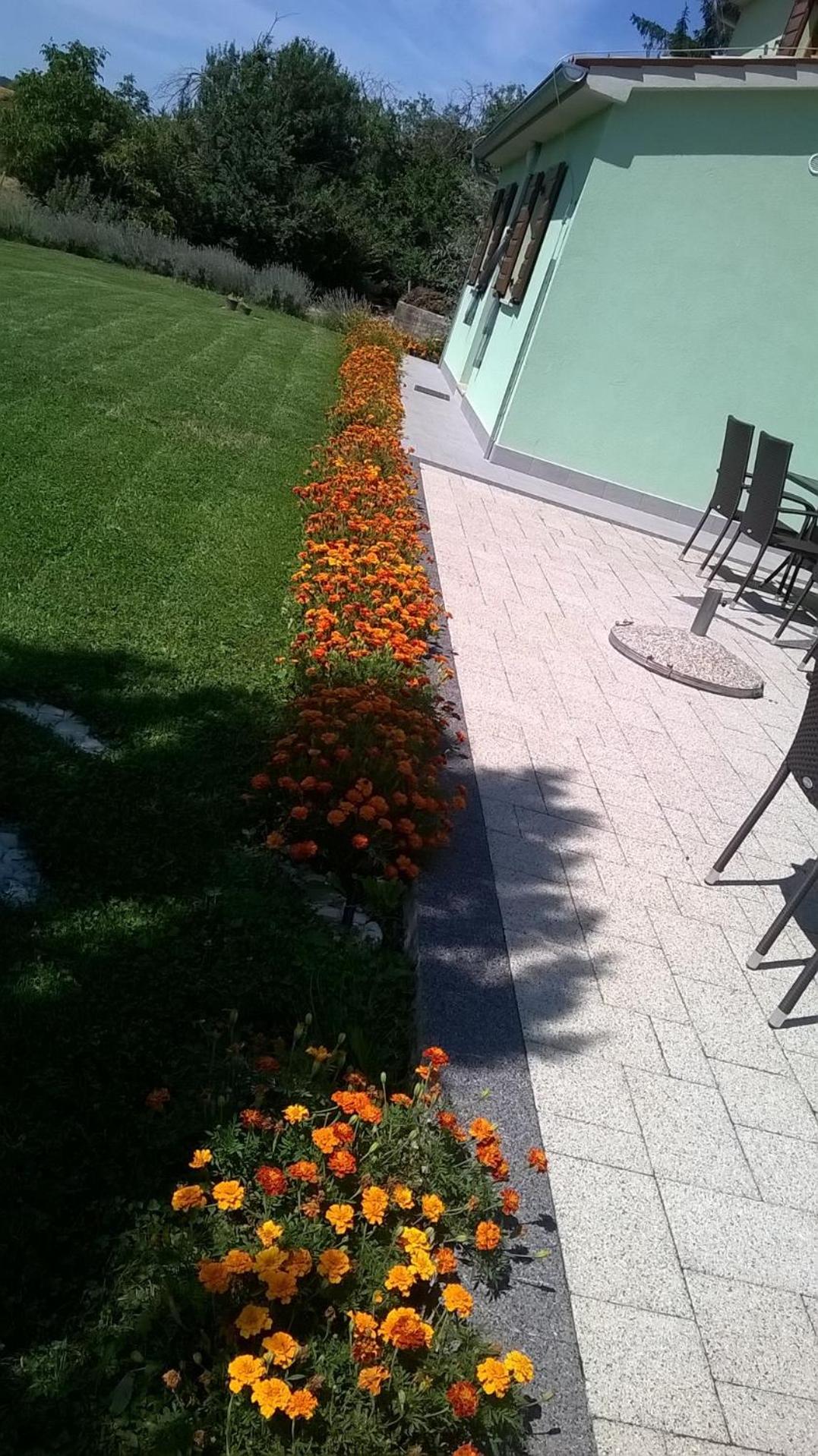 Photo 51