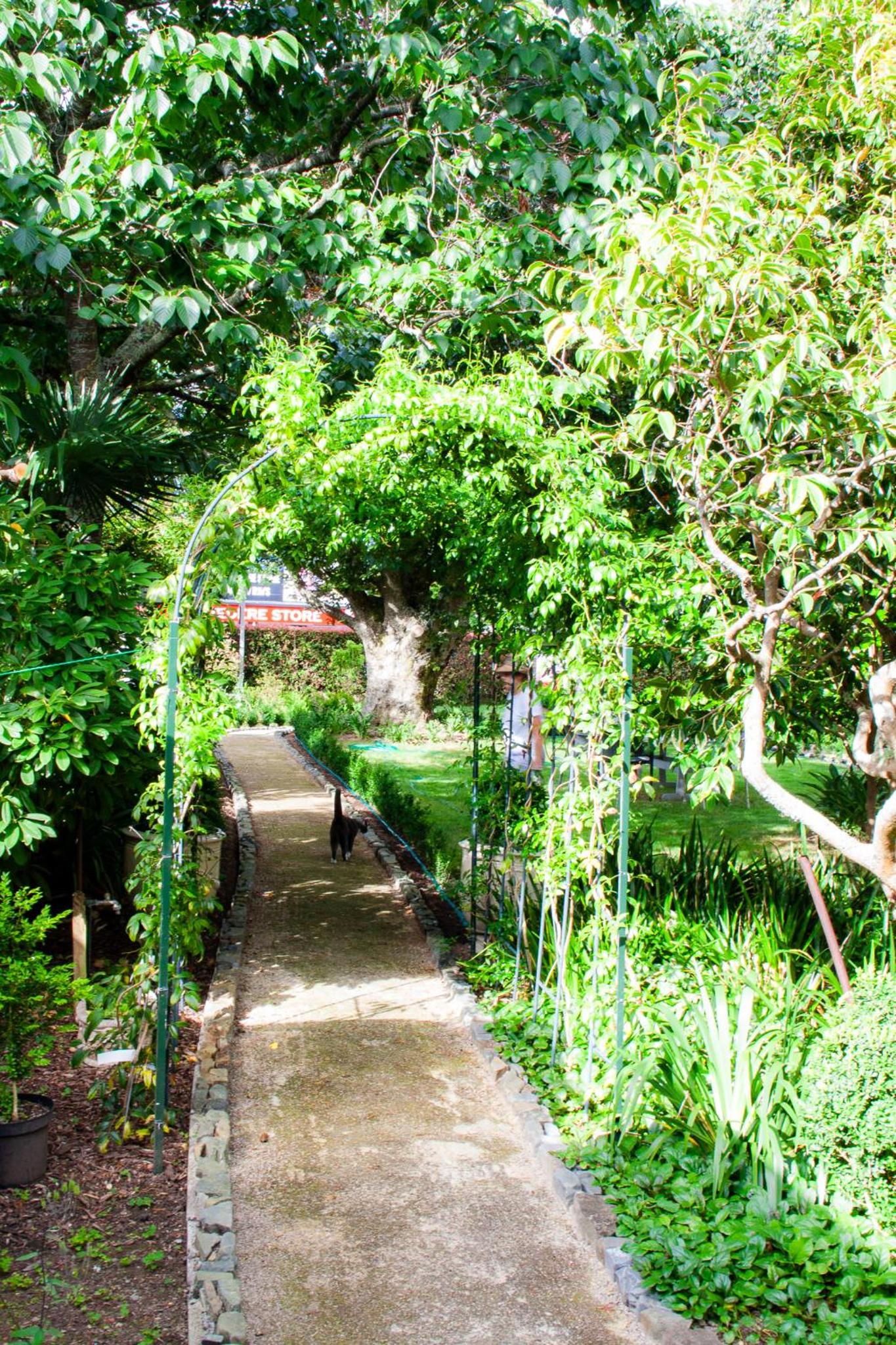 Photo 9