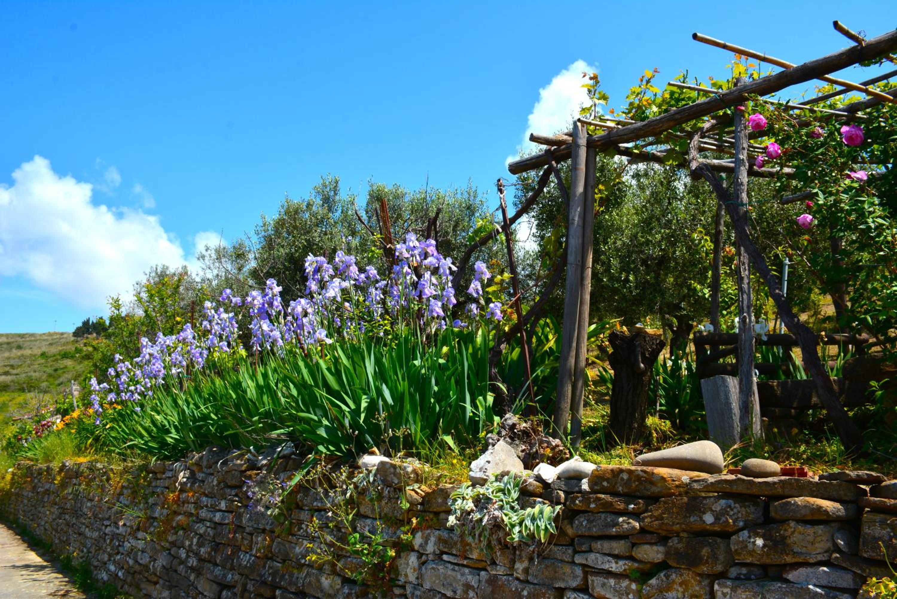 Casa a Castellabate view 4