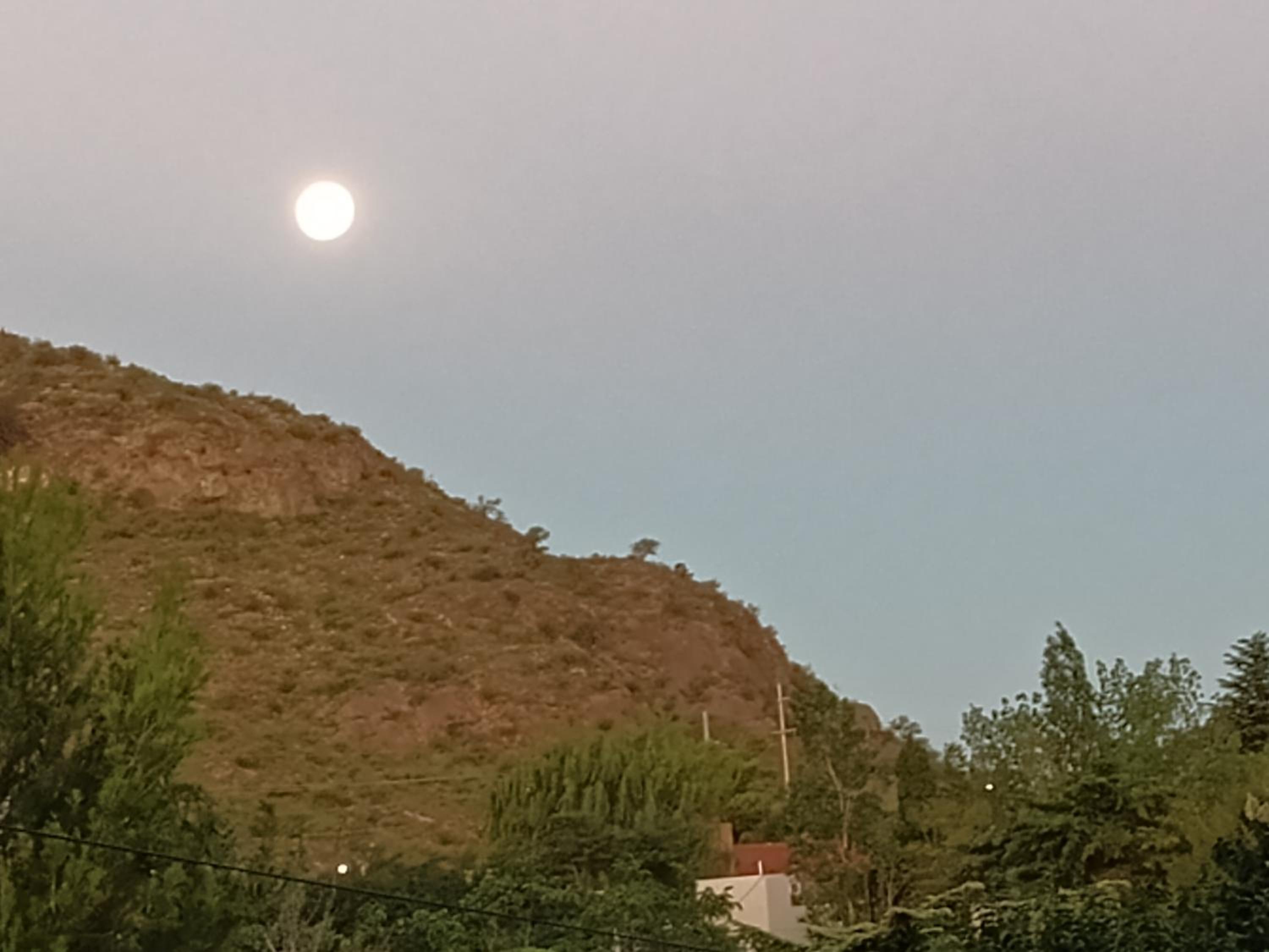 Las Madreselvas