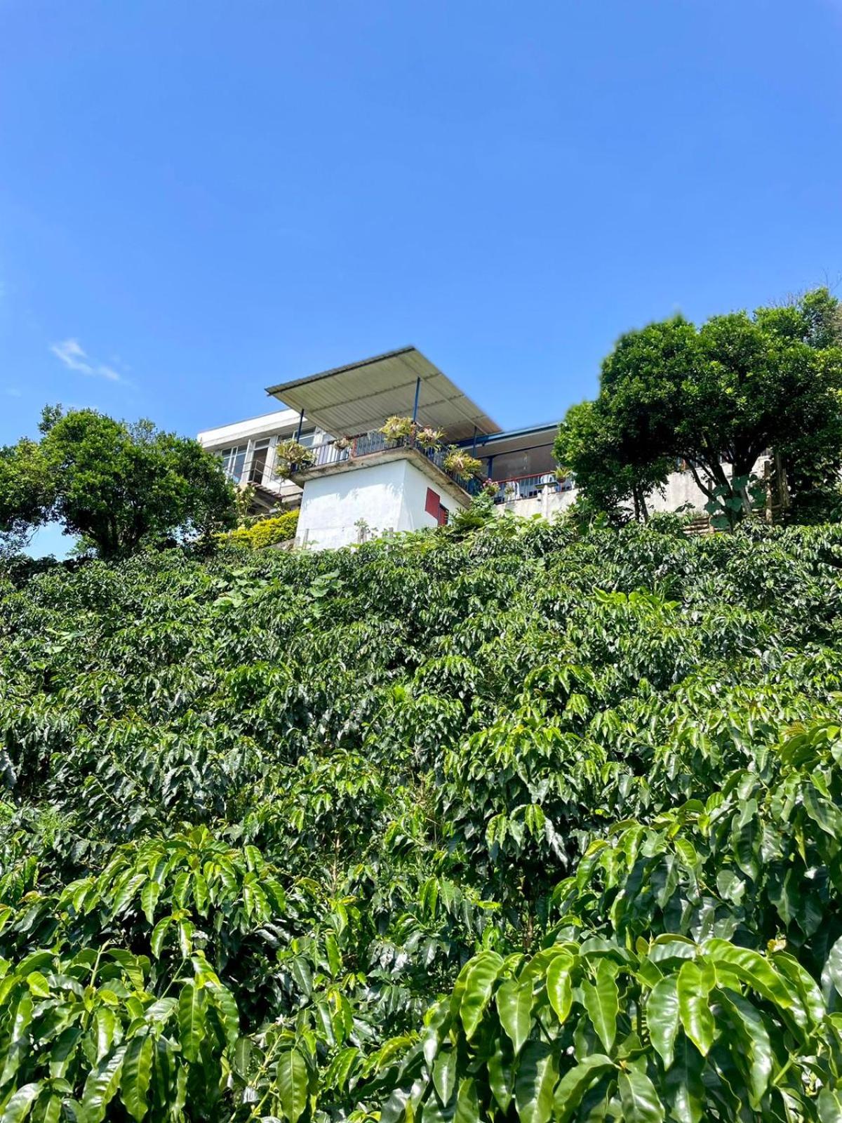 Itaca Hostel finca Cafetera